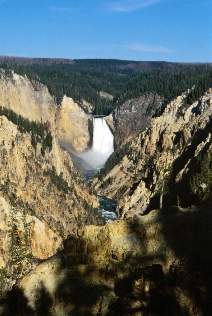 Die Yellowstone Falls im Yellowstone Nationalpark