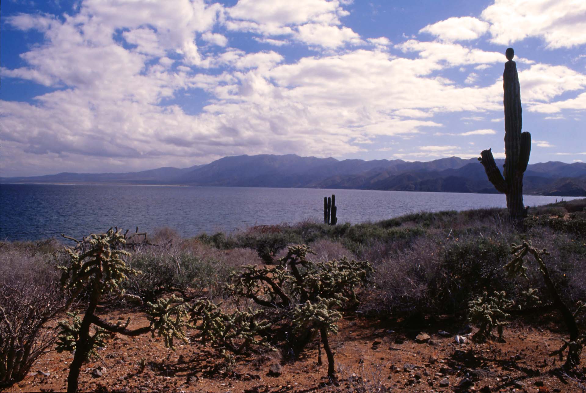Playa El Requesón - die Wüste trifft aufs Meer