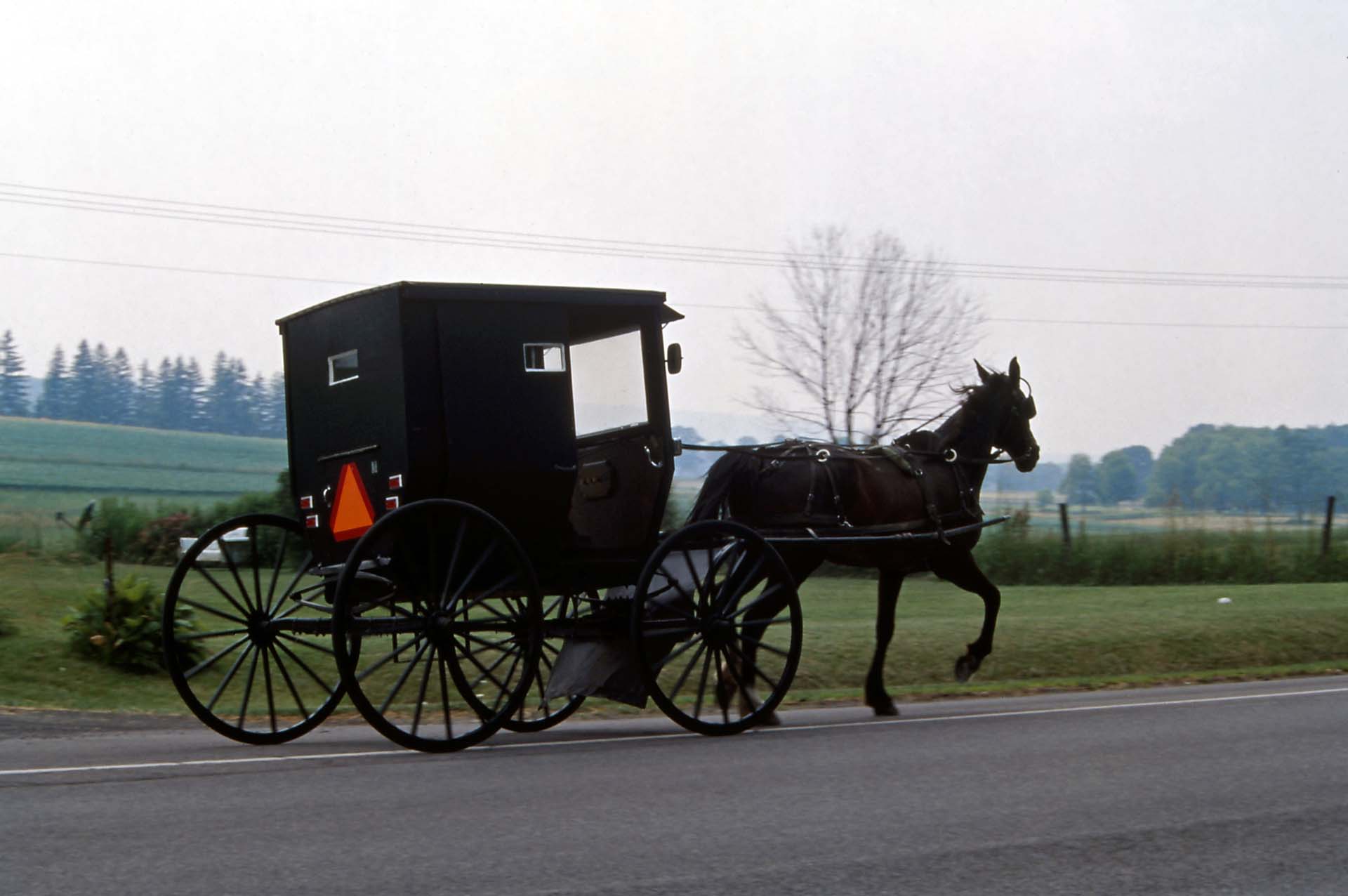 Maryland - Amish People kommen vom Kirchgang