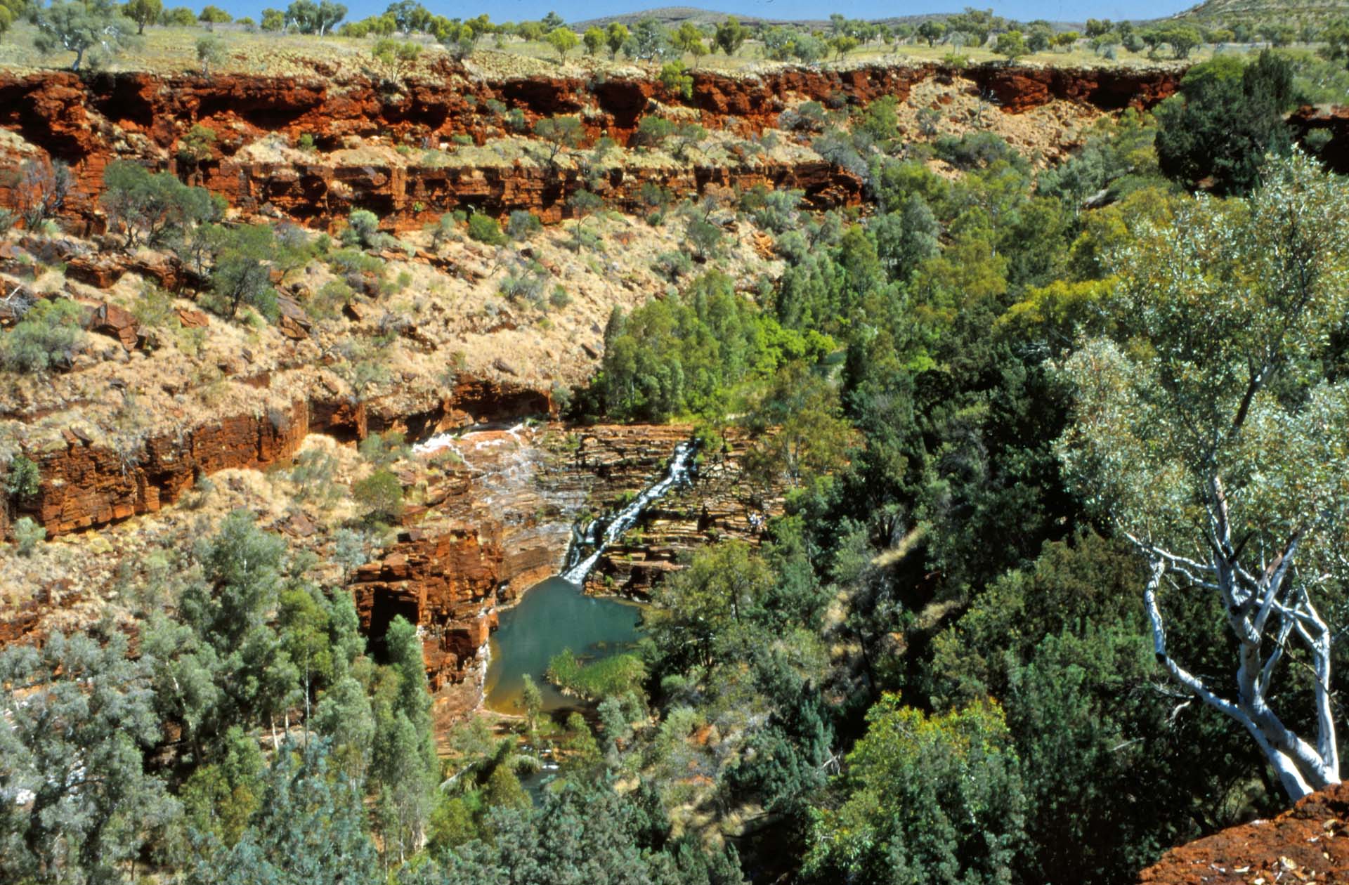 Dale Gorge, Karijini Nationalperk, WA, Pilbara Gebiet
