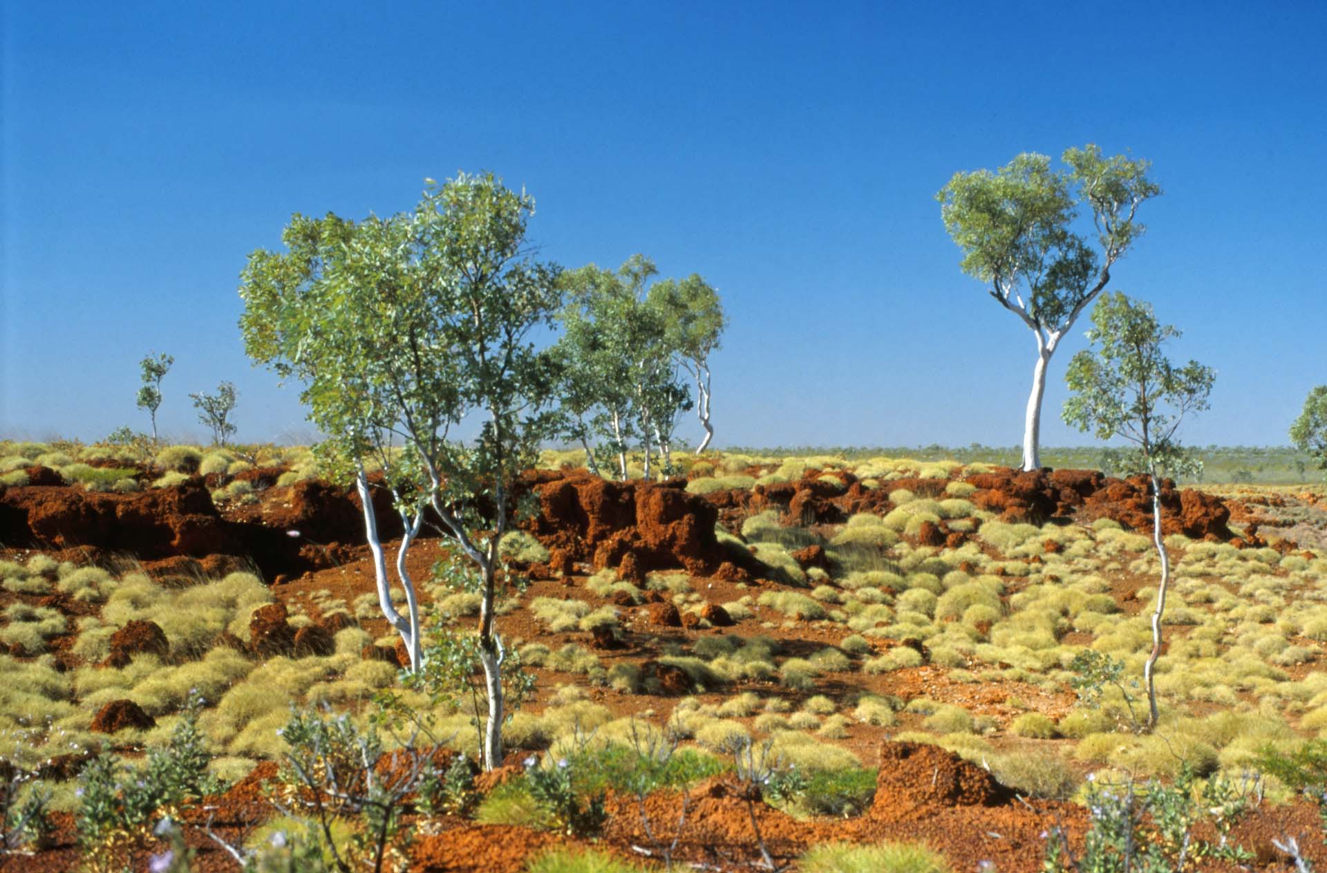 Karijini Nationalpark