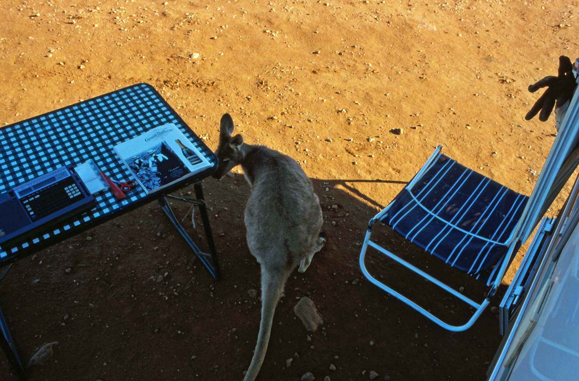 Karijini Nationalpark - Besuch am Campingplatz