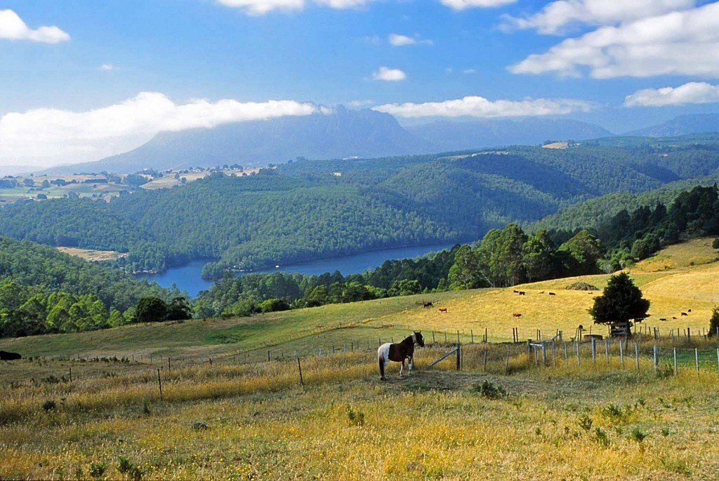 Typische Tassie-Landschaft