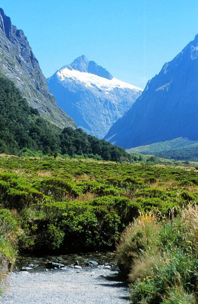 Panorama an der Straße zum Milford Sound, Südinsel Neuseeland