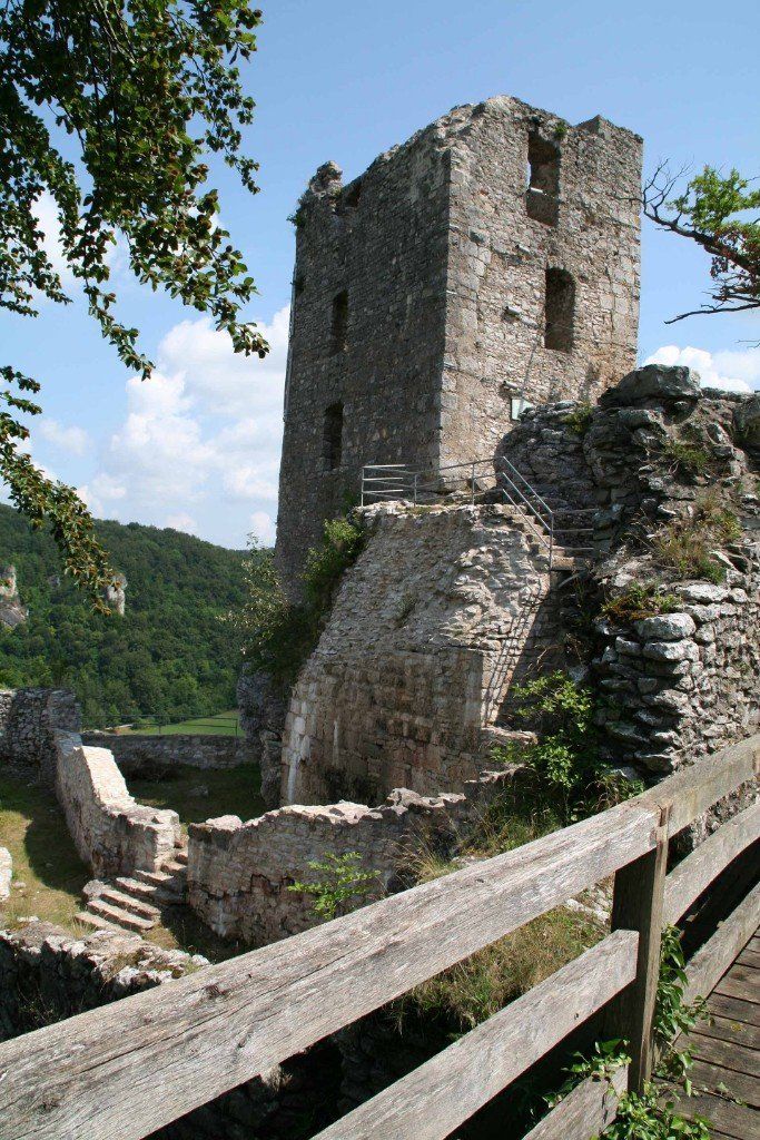 Die Ruine Neideck