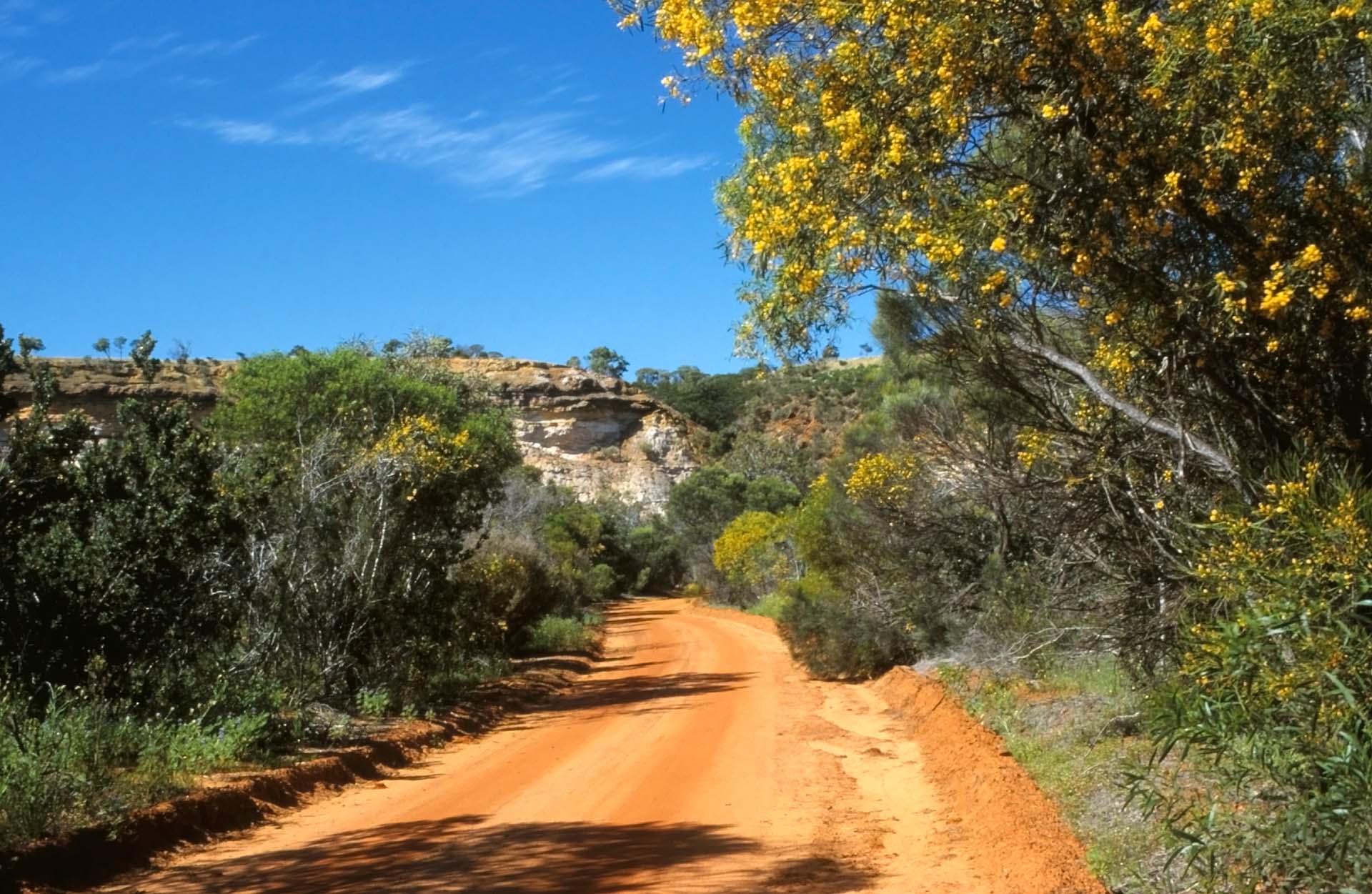 Piste zum Ellendale Pool, WA