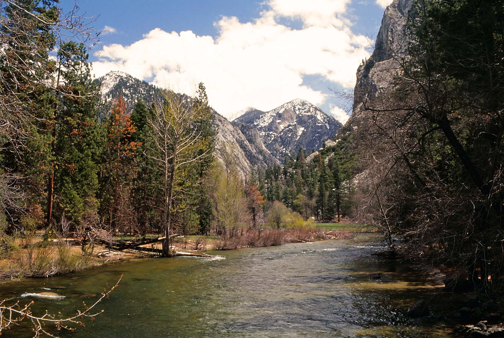 Kings Canyon Nationalpark, Kalifornien