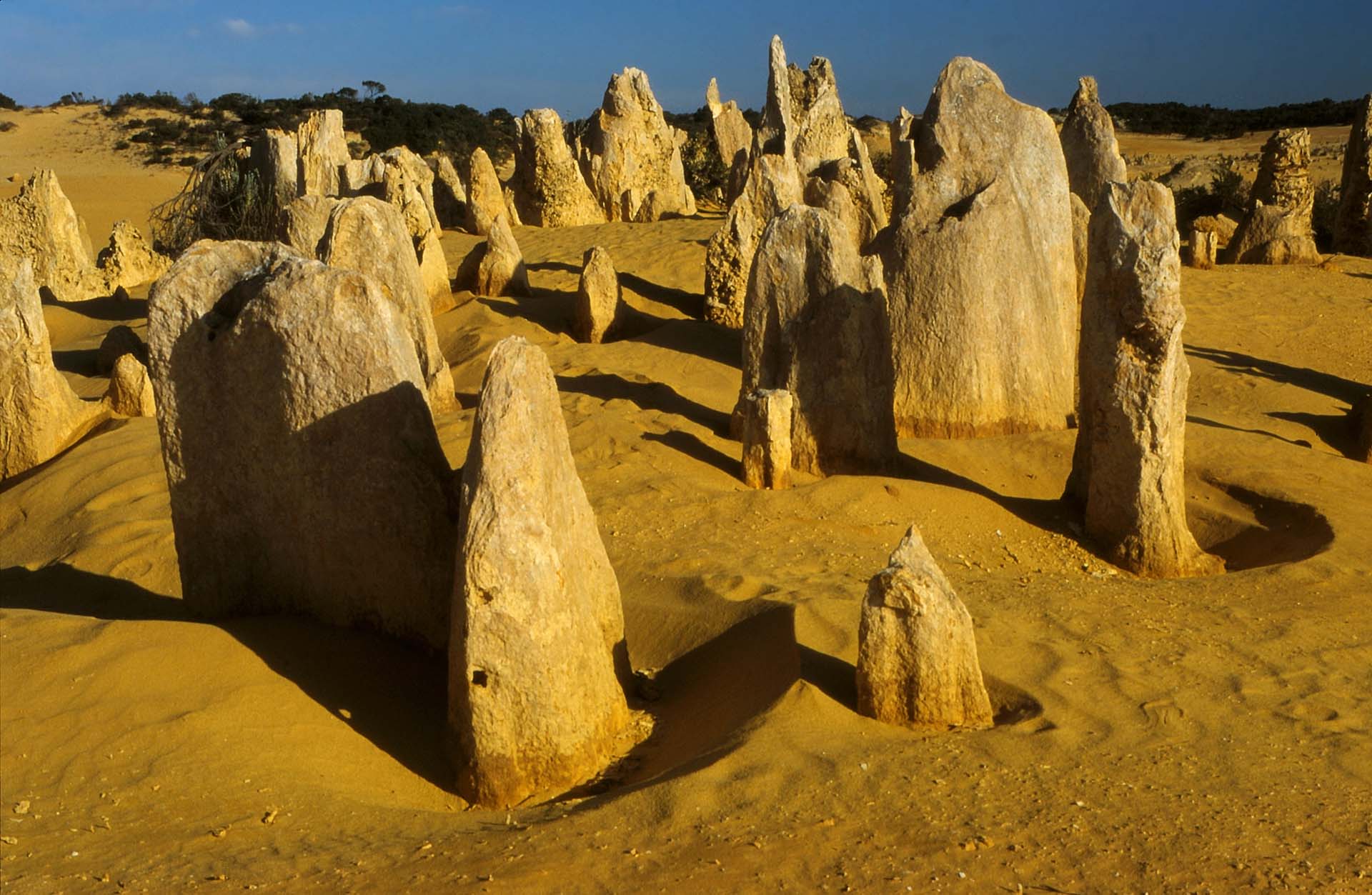 Pinnacles im Nambung Nationalpark, WA