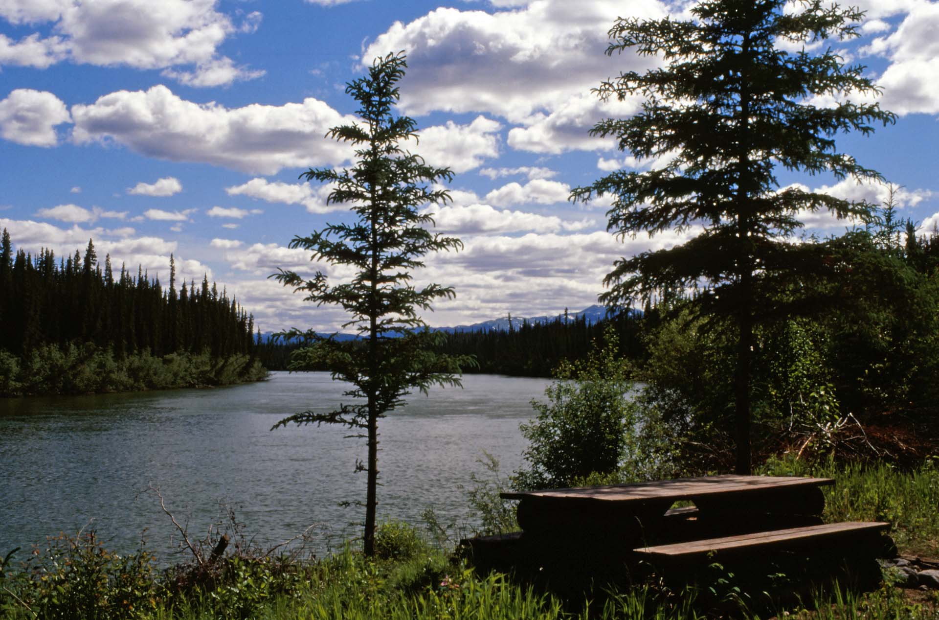 British Columbia, Campingstelle des BC Forestry Service am French Creek