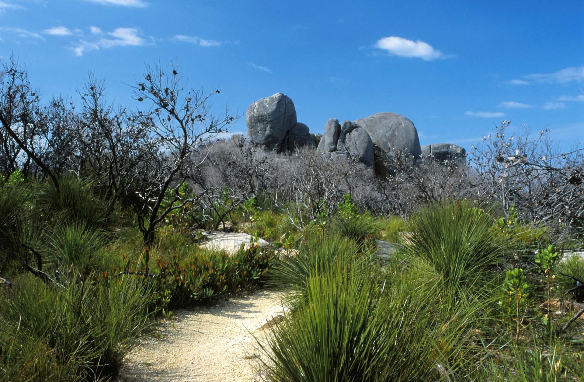 Im Torndirrup NP, WA