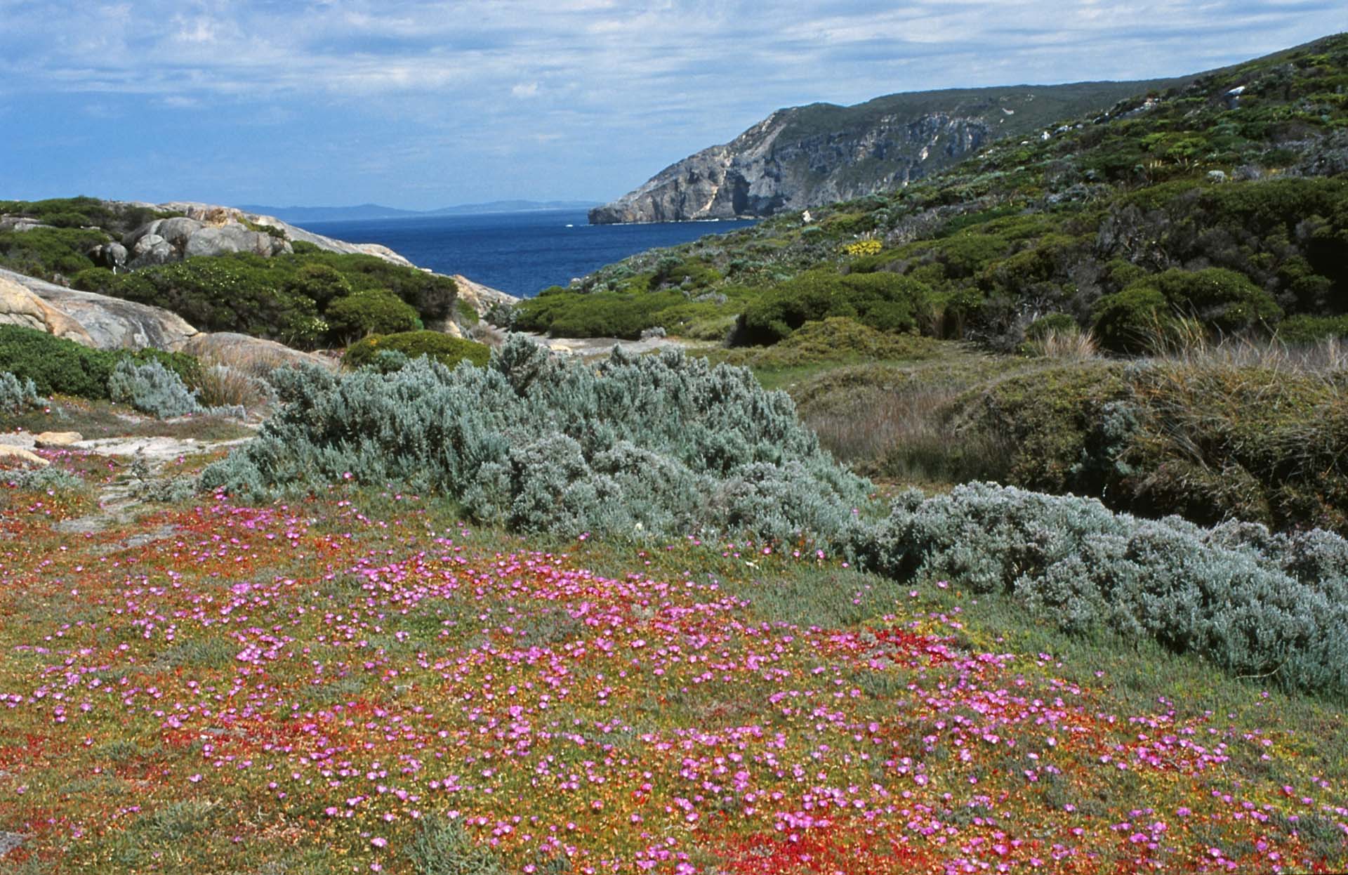 Im Torndirrup NP, WA