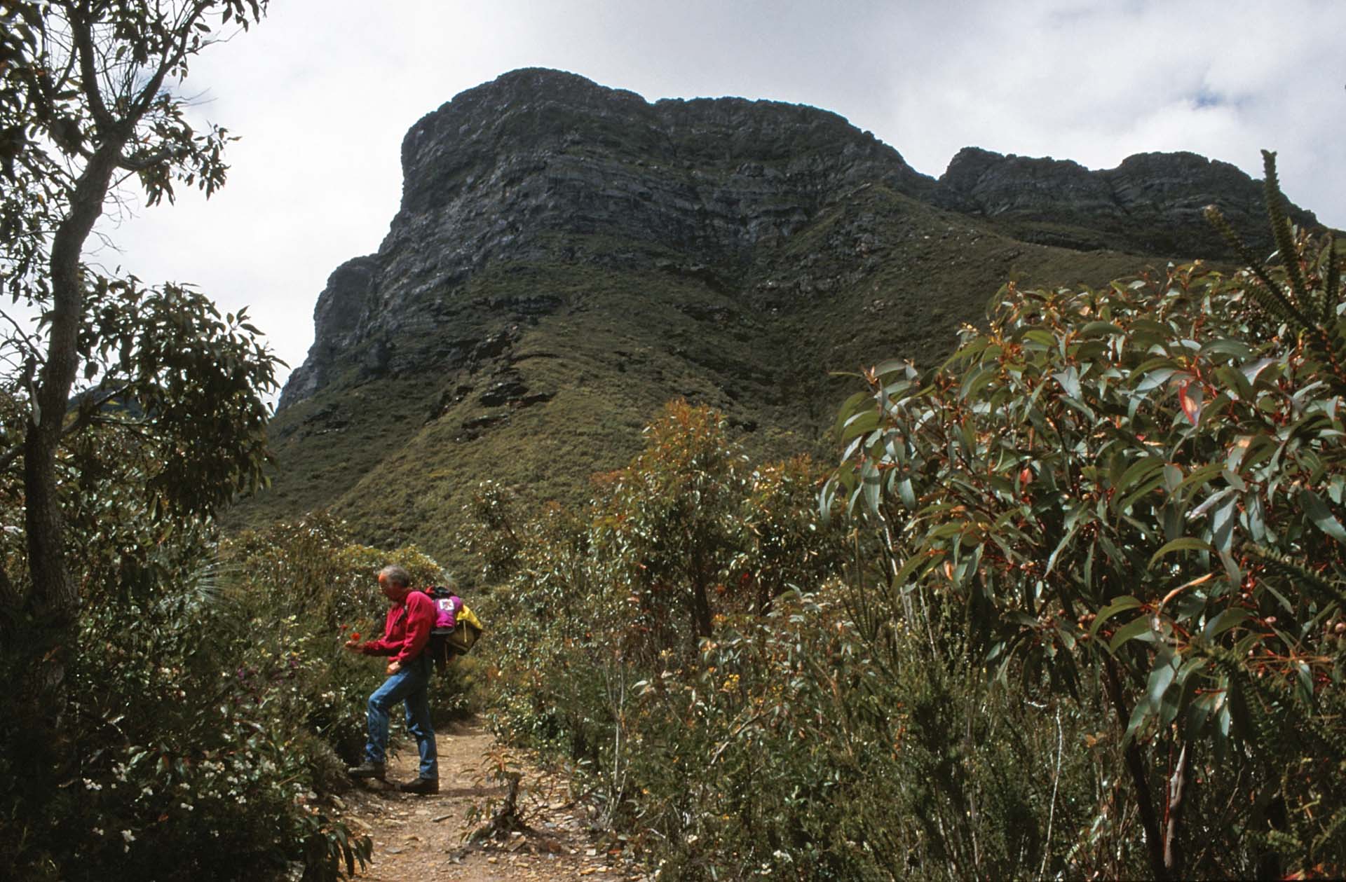 Aufstieg zum Bluff Knoll, Sterling Range, WA
