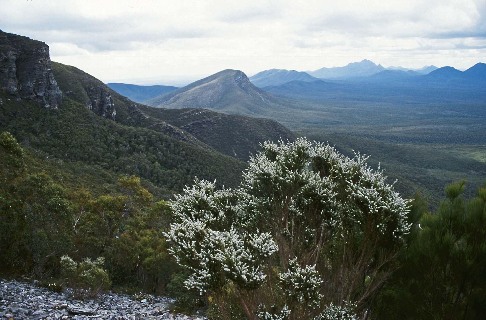 Blick vom Bluff Knoll, Sterling Range, WA