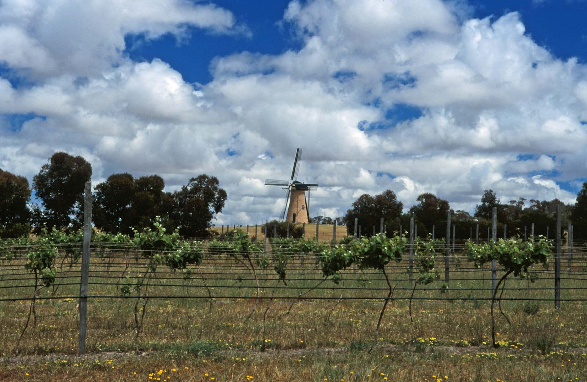 Nicht Holland, sondern West Australien