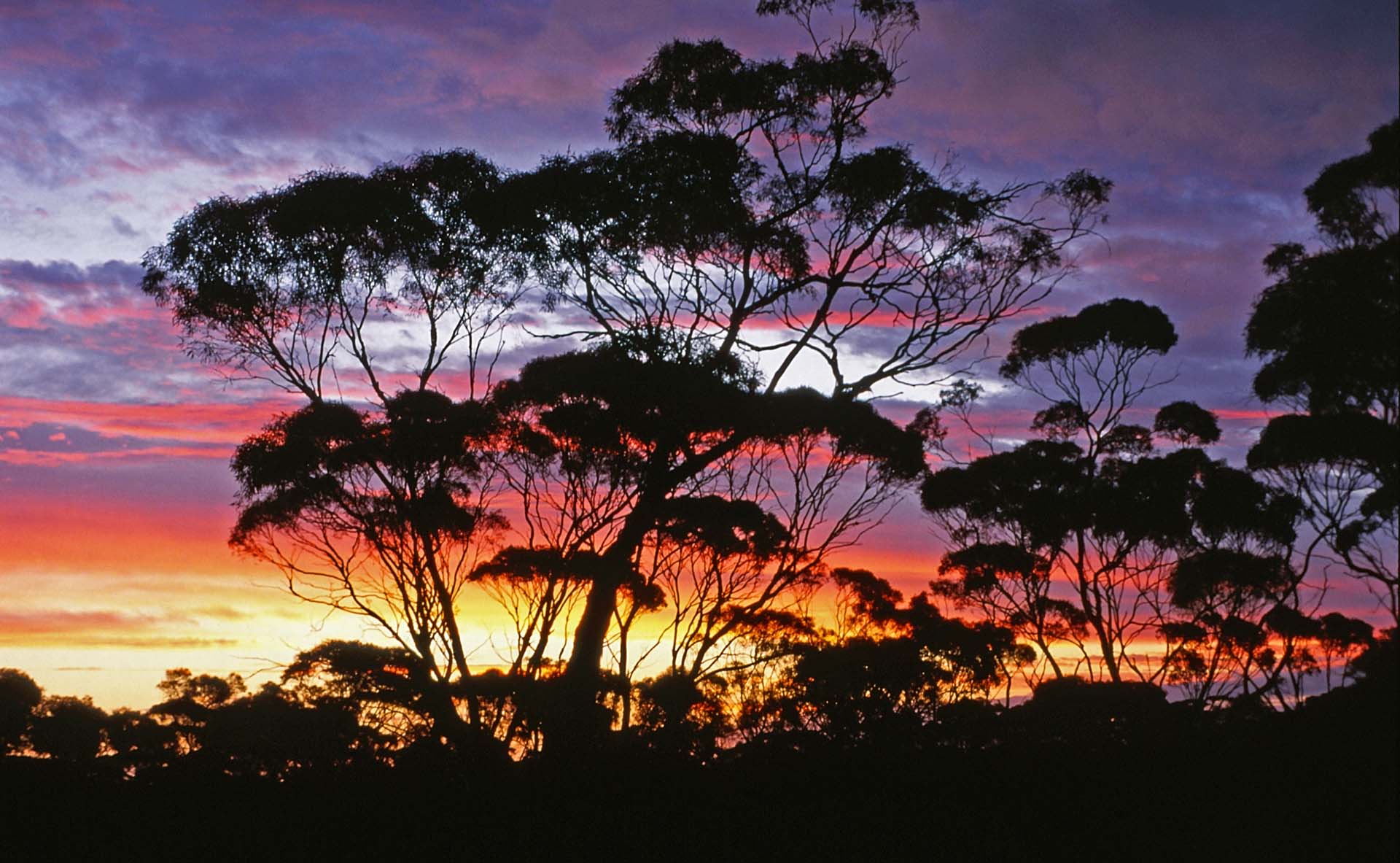 Sonnenuntergang in den Nullarbor Plains