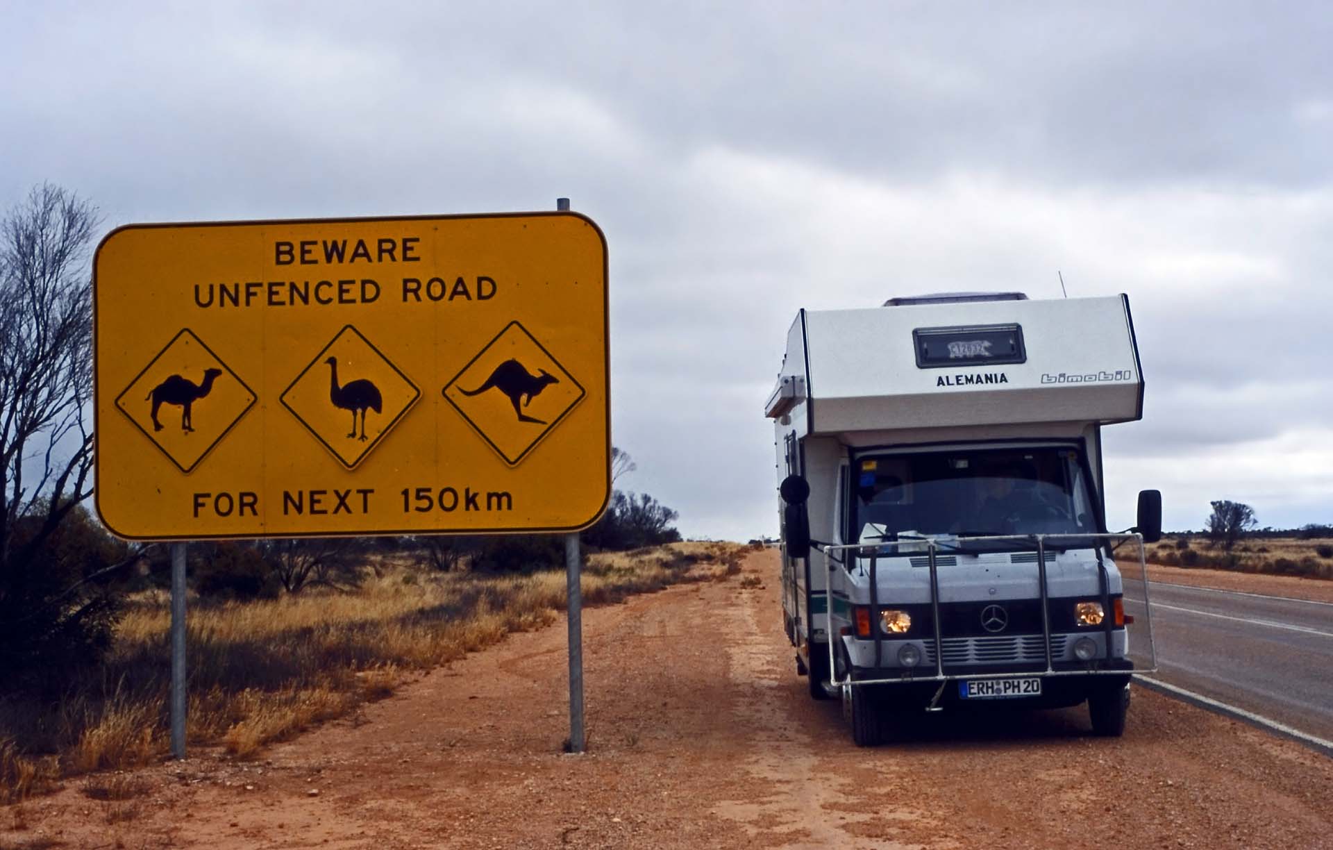 Wildwechsel in den Nullarbor Plains