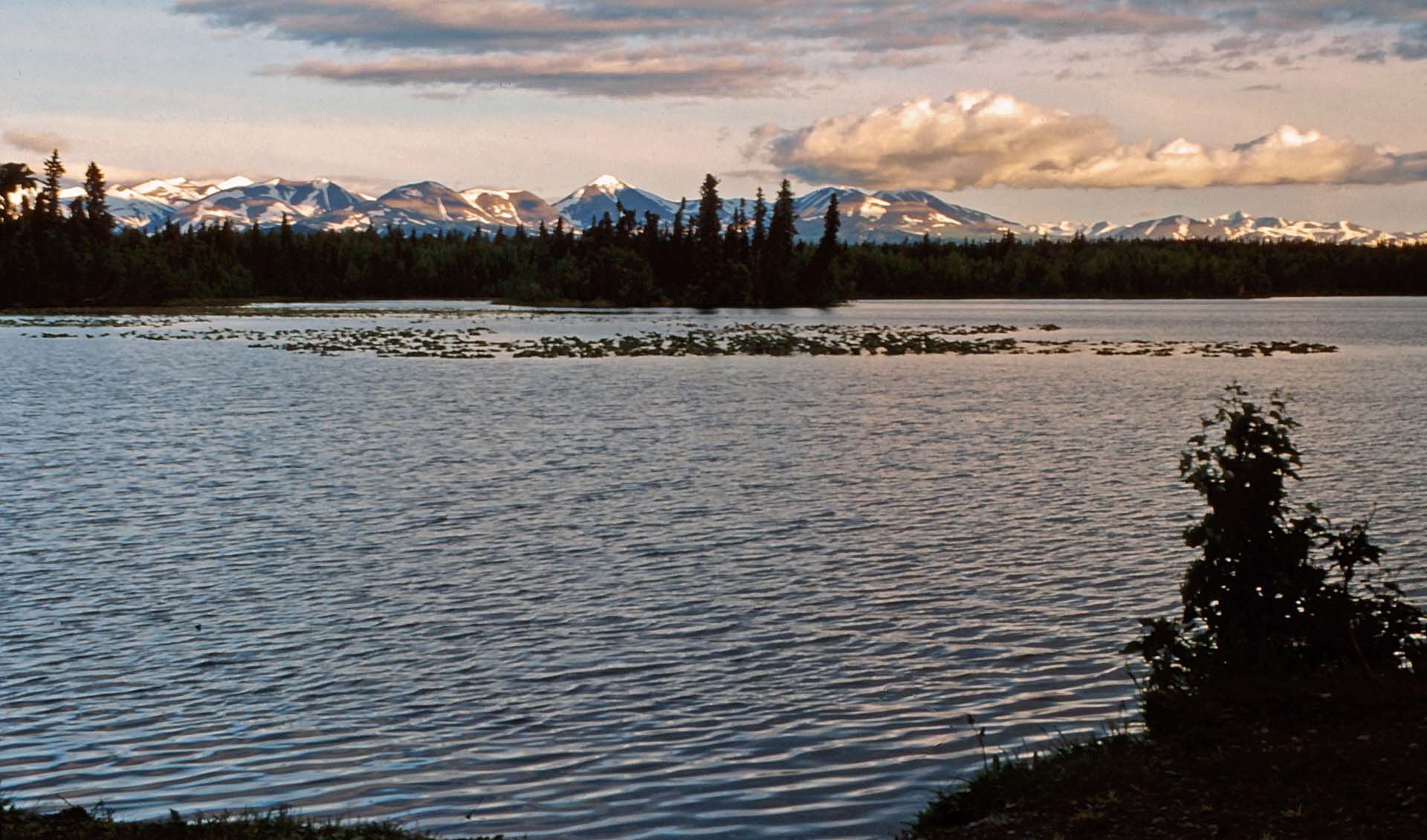 Der Petersen Lake, Kenai Halbinsel, Alaska