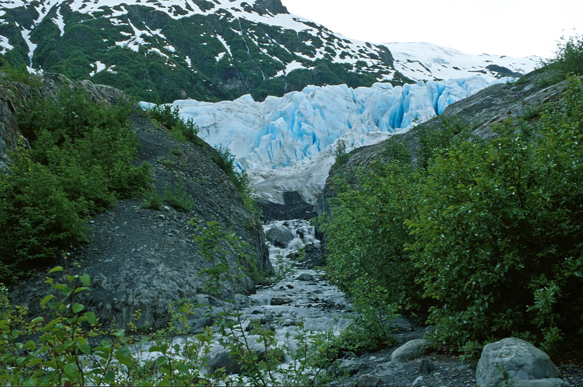 Der Exit Gletscher,  Kenai Halbinsel, Alaska