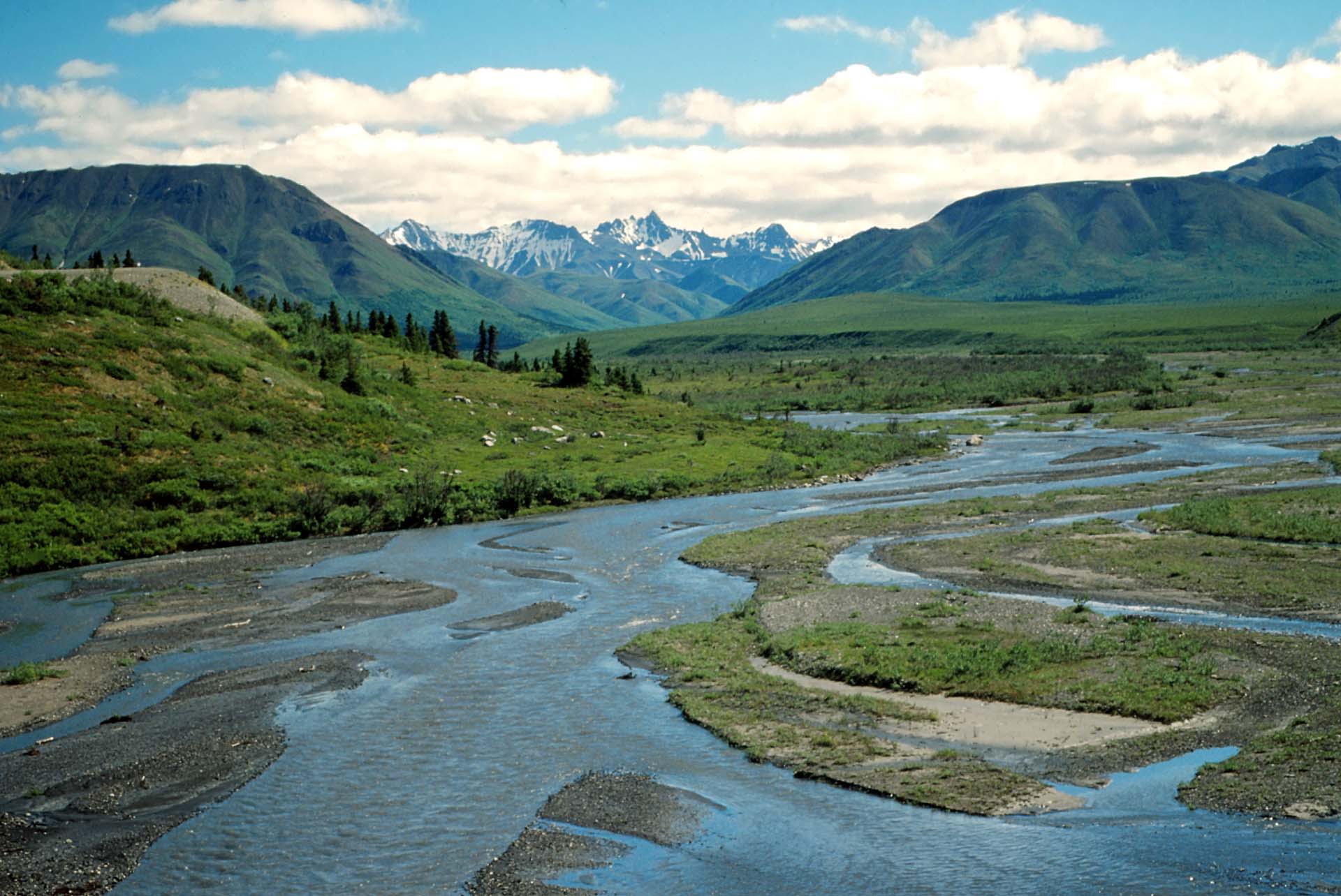 Im Denali Nationalpark, Alaska