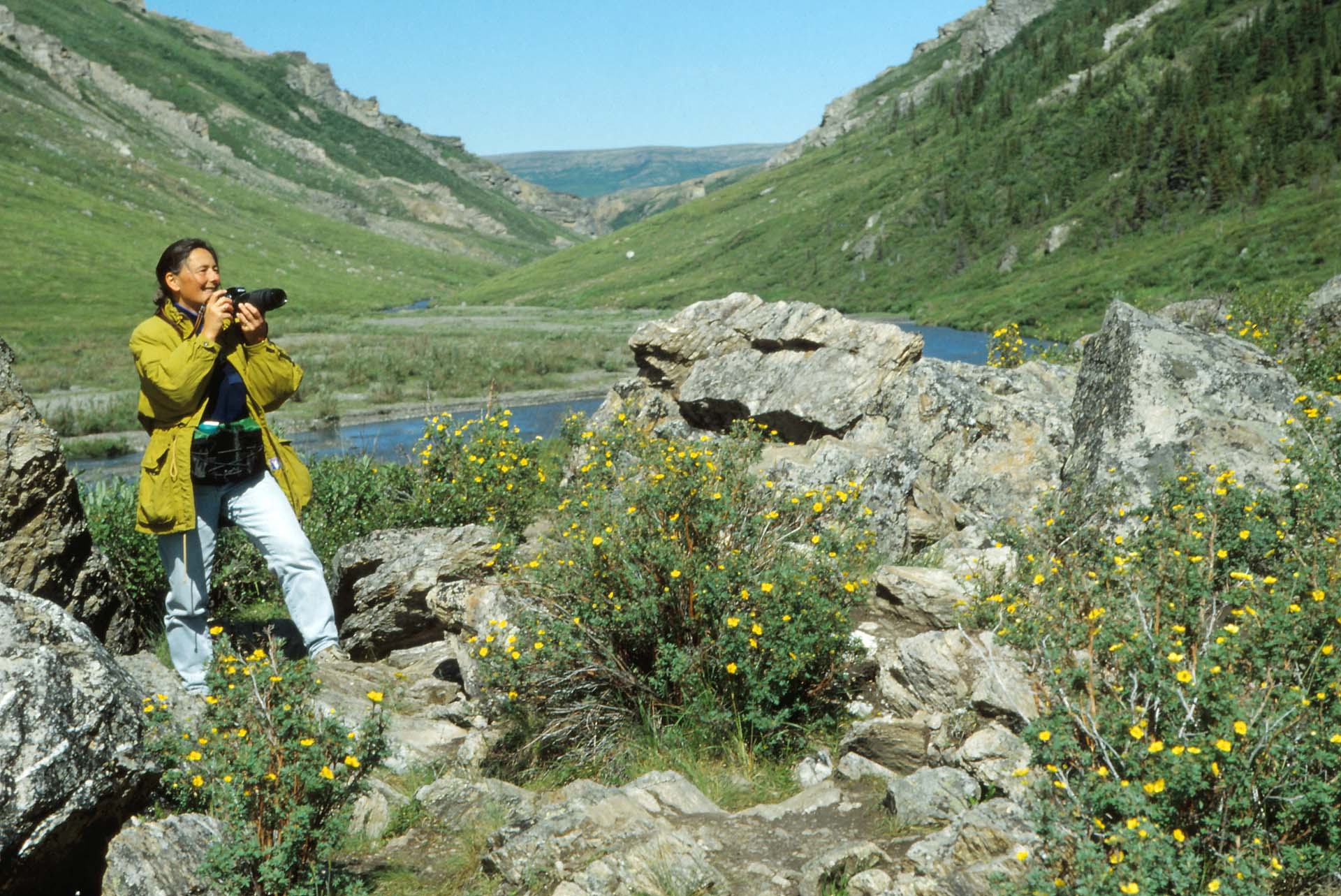 Im Denali Nationalpark, Alaska