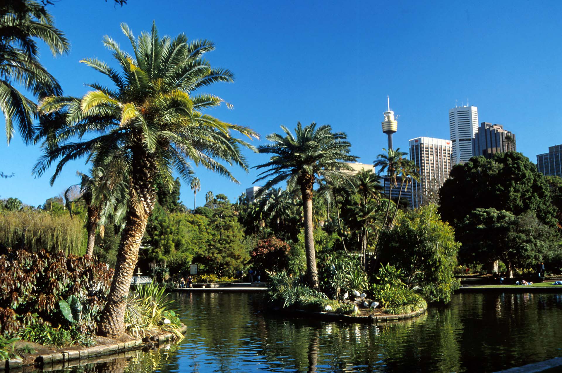 Sydney, der Botanische Garten