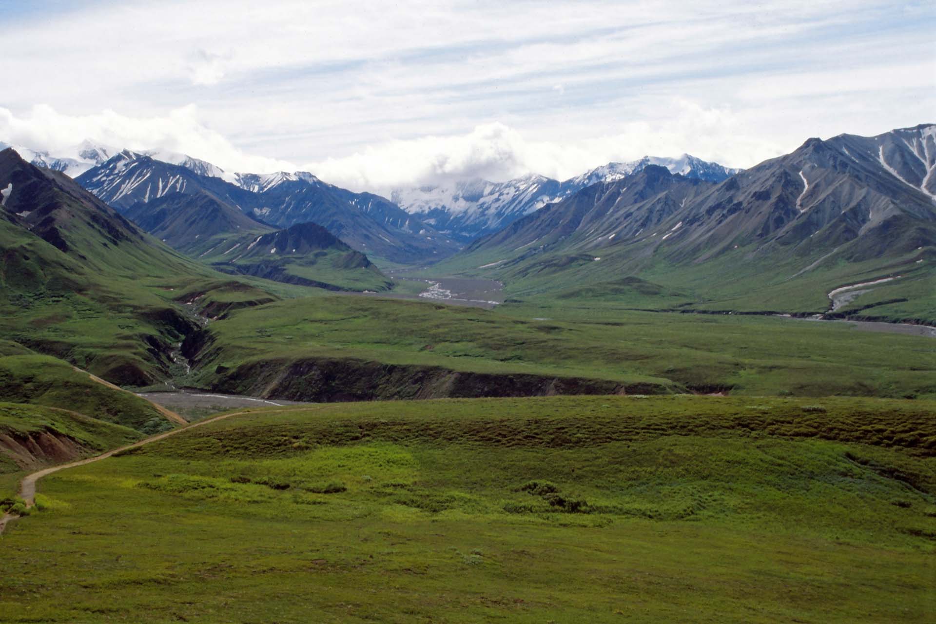 Im Denali Nationalpark, Alaska