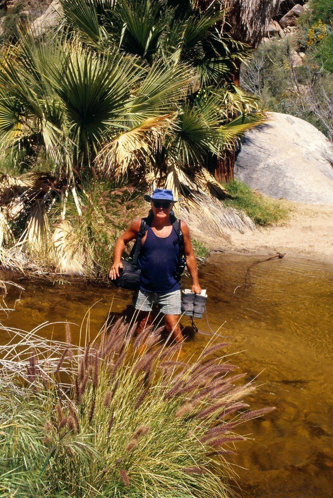 Im Anza Borrego State Park, Kalifornien, Wanderung zum Borrego Palm Canyon