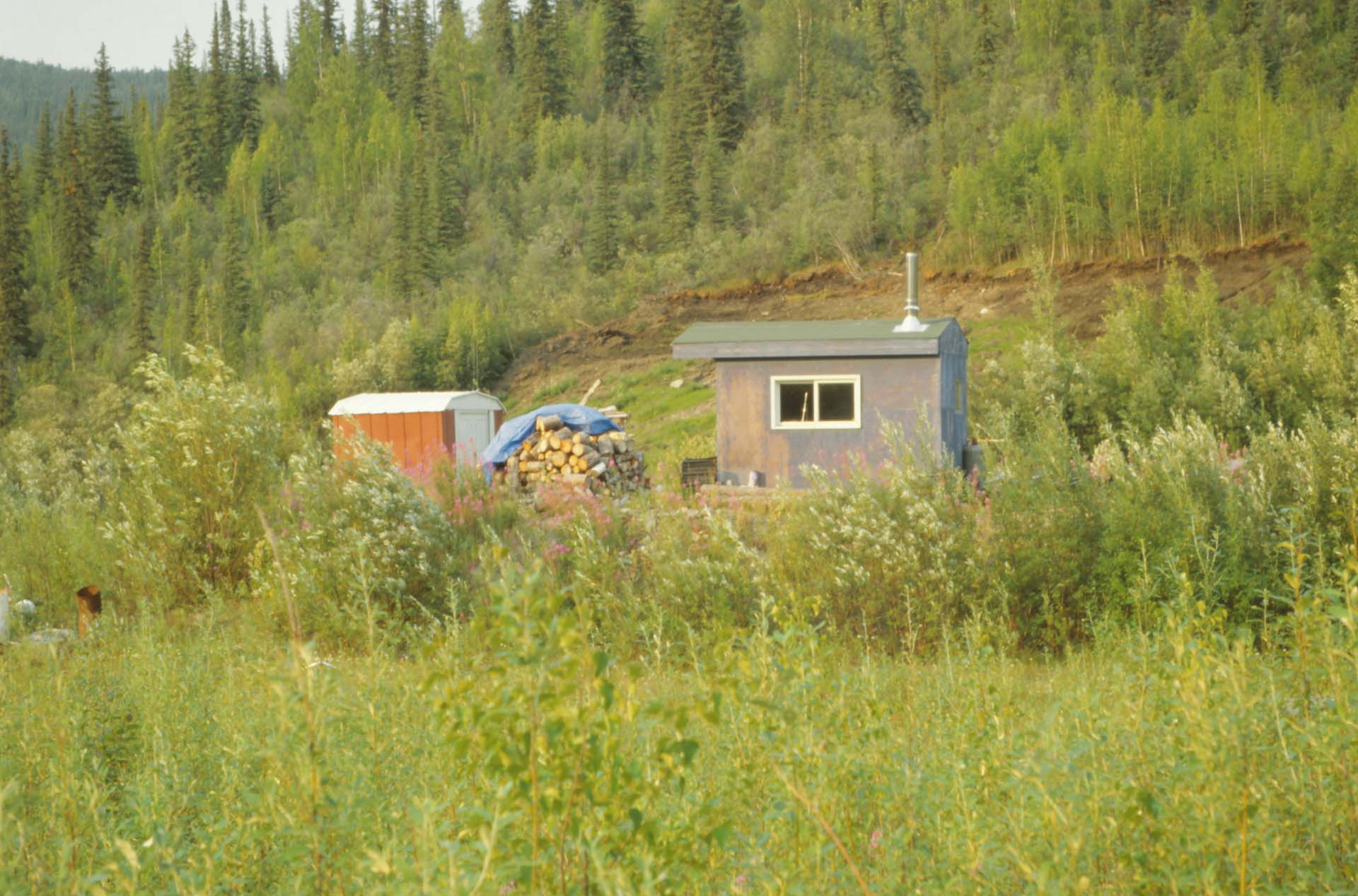 Dawson City - Goldgräberbehausung