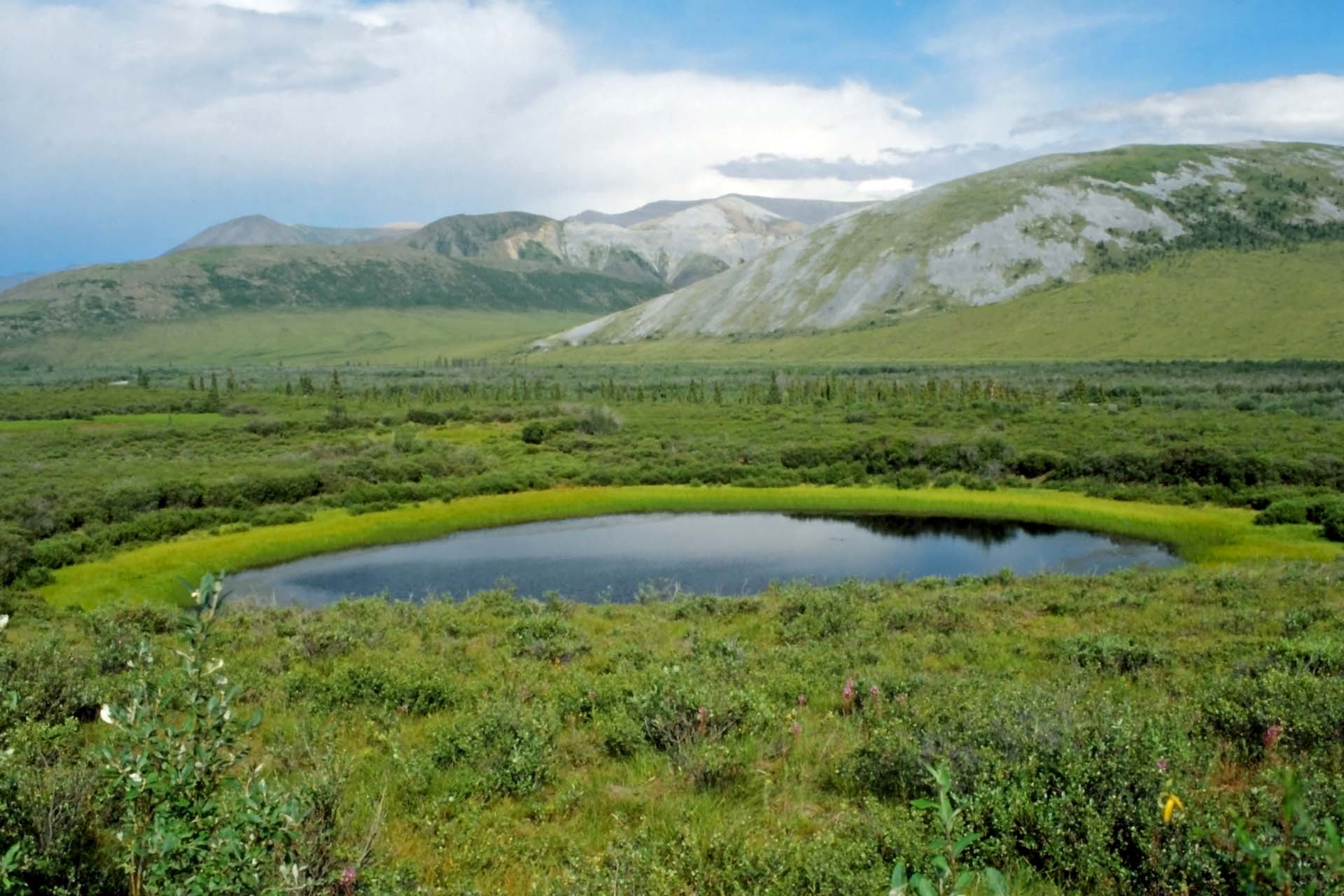 Am Dempster Highway