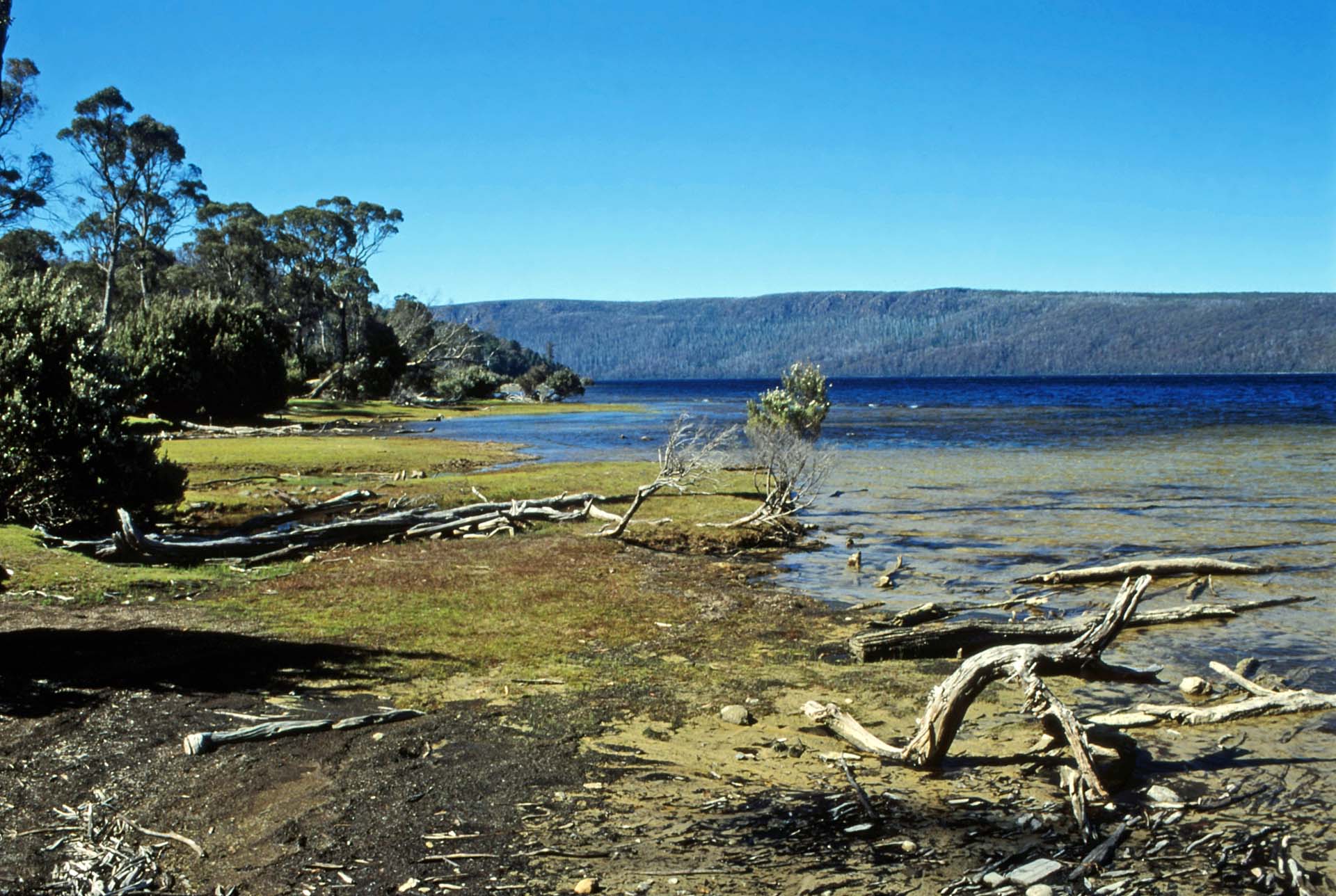 Tasmanien, Lake St. Clair NP
