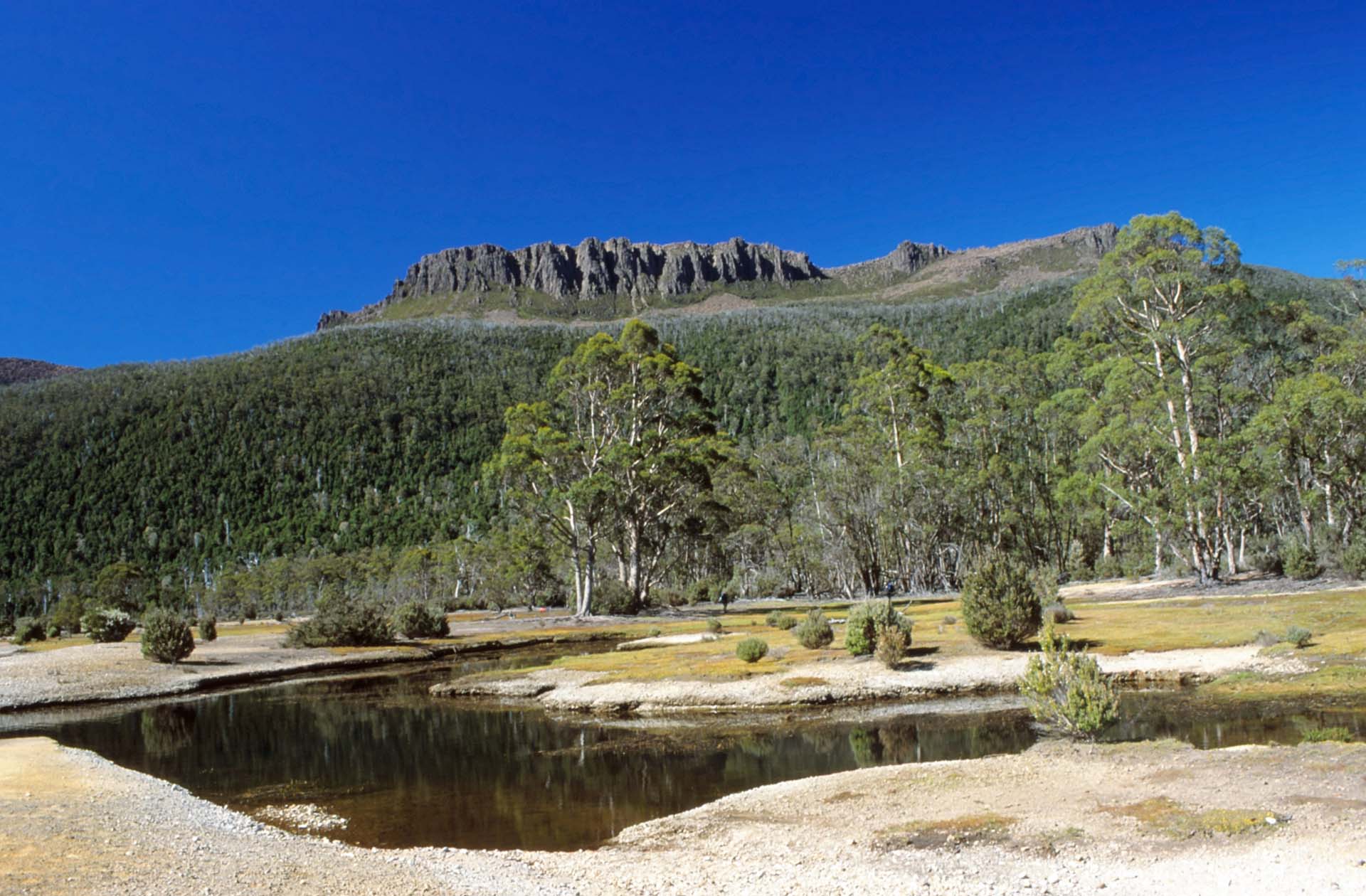 Tasmanien, Lake St. Clair NP
