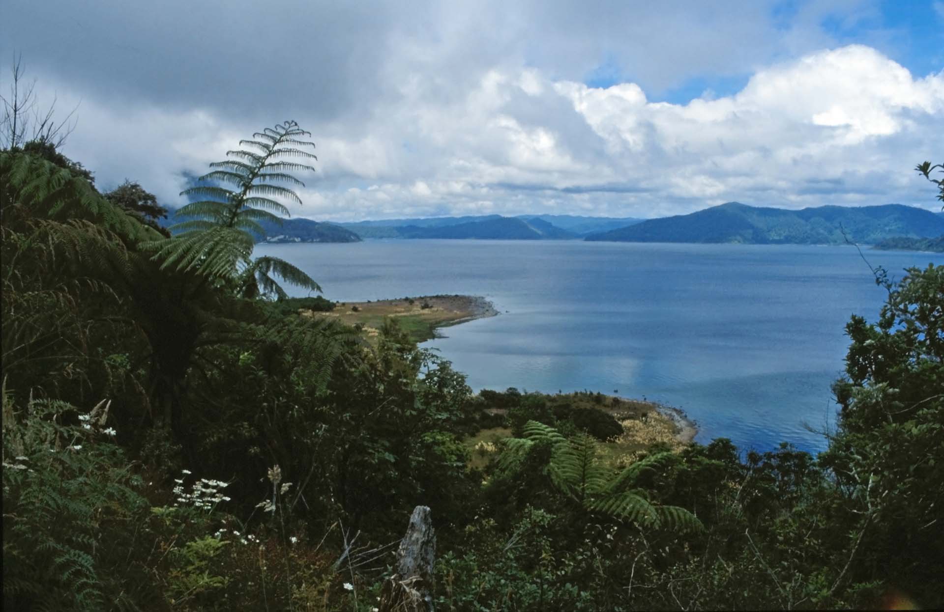 Lake Waikaremoana im Urewera Nationalpark, Nordinsel NZ
