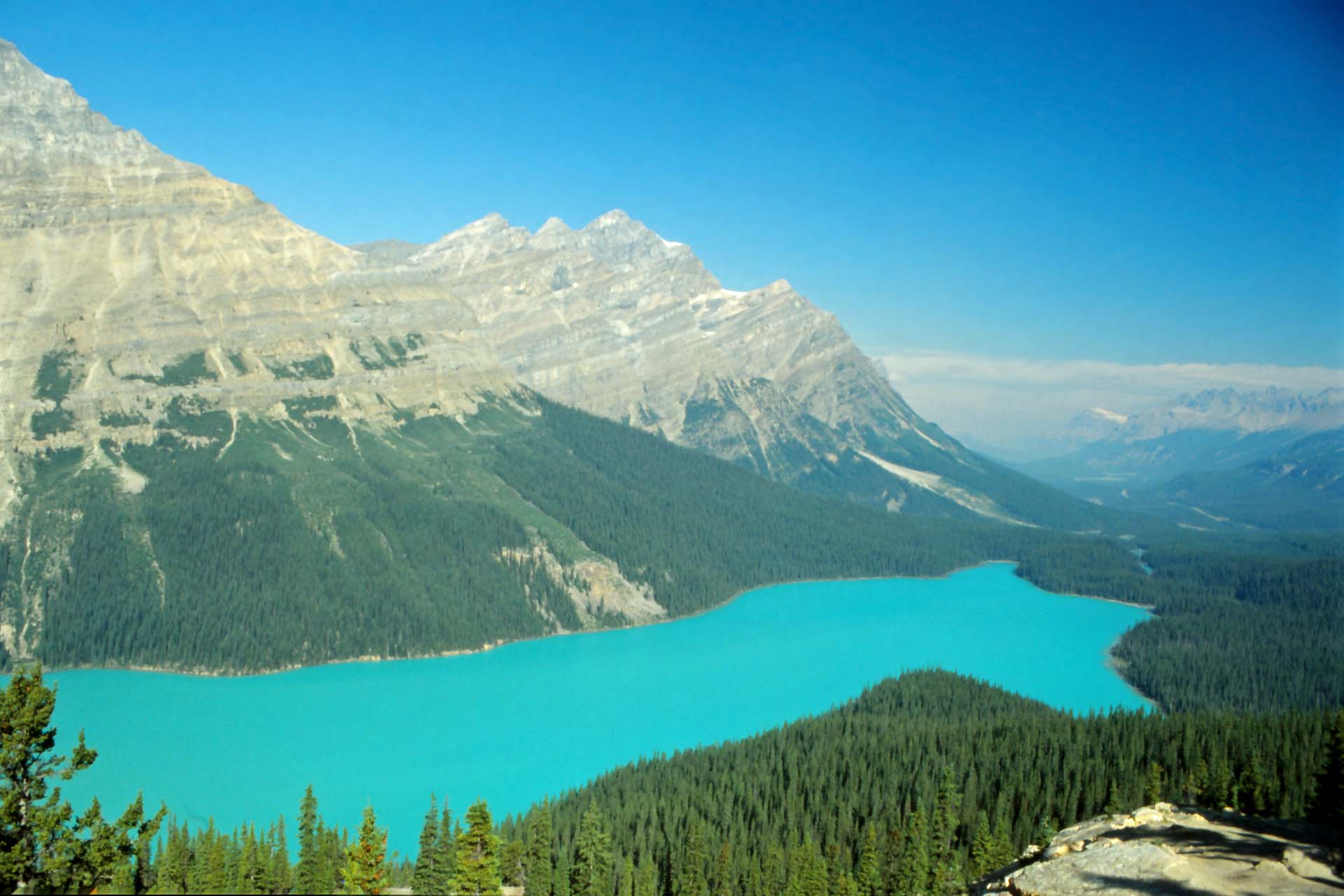 Panorama am Icefield Parkway, Alberta