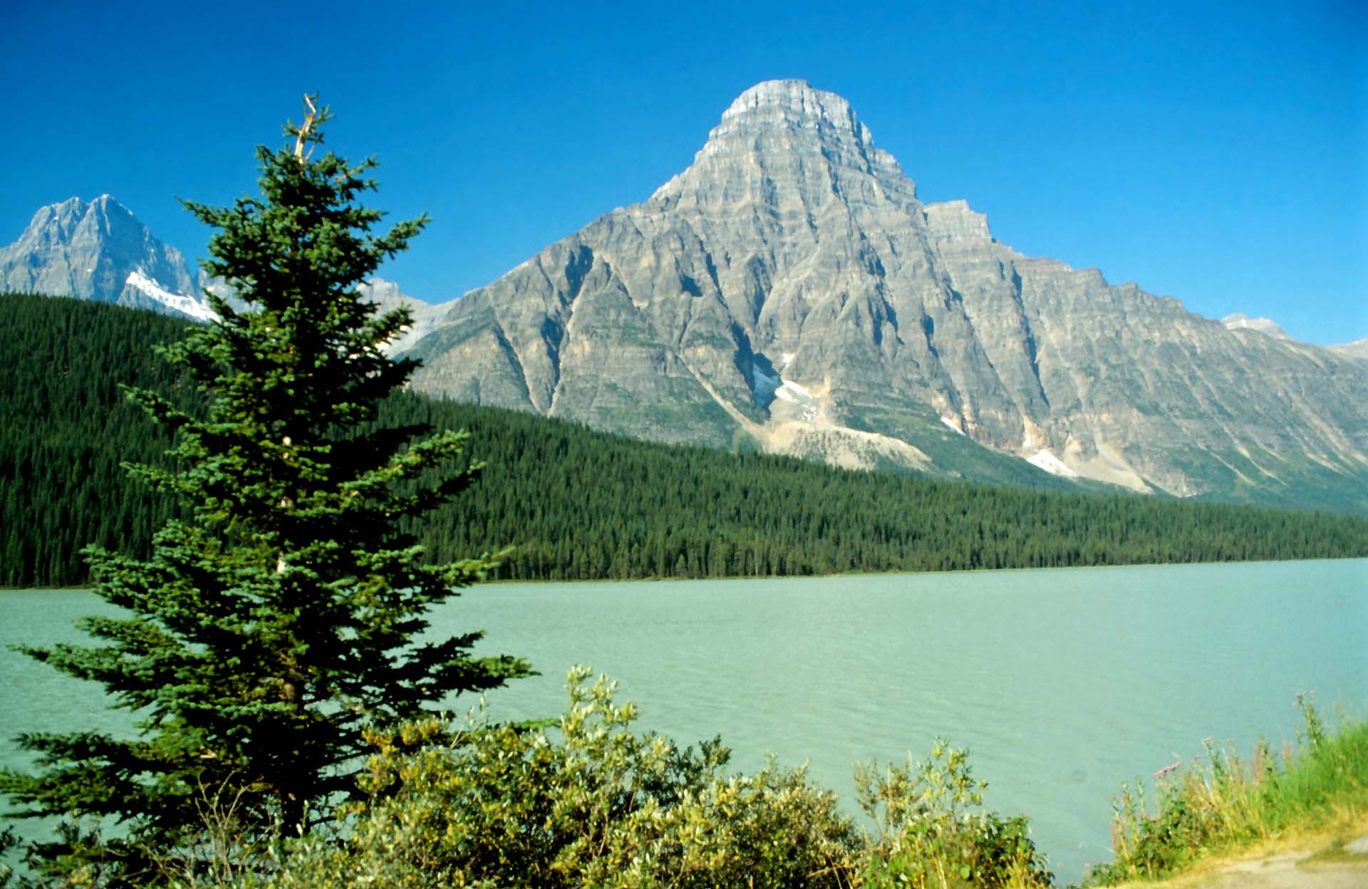 Panorama am Icefield Parkway, Alberta