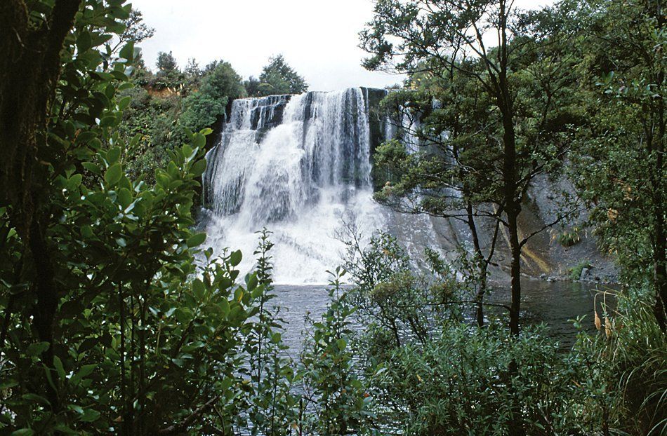 Im Urewera Nationalpark, Nordinsel Neuseeland Im Urewera Nationalpark, Nordinsel Neuseeland