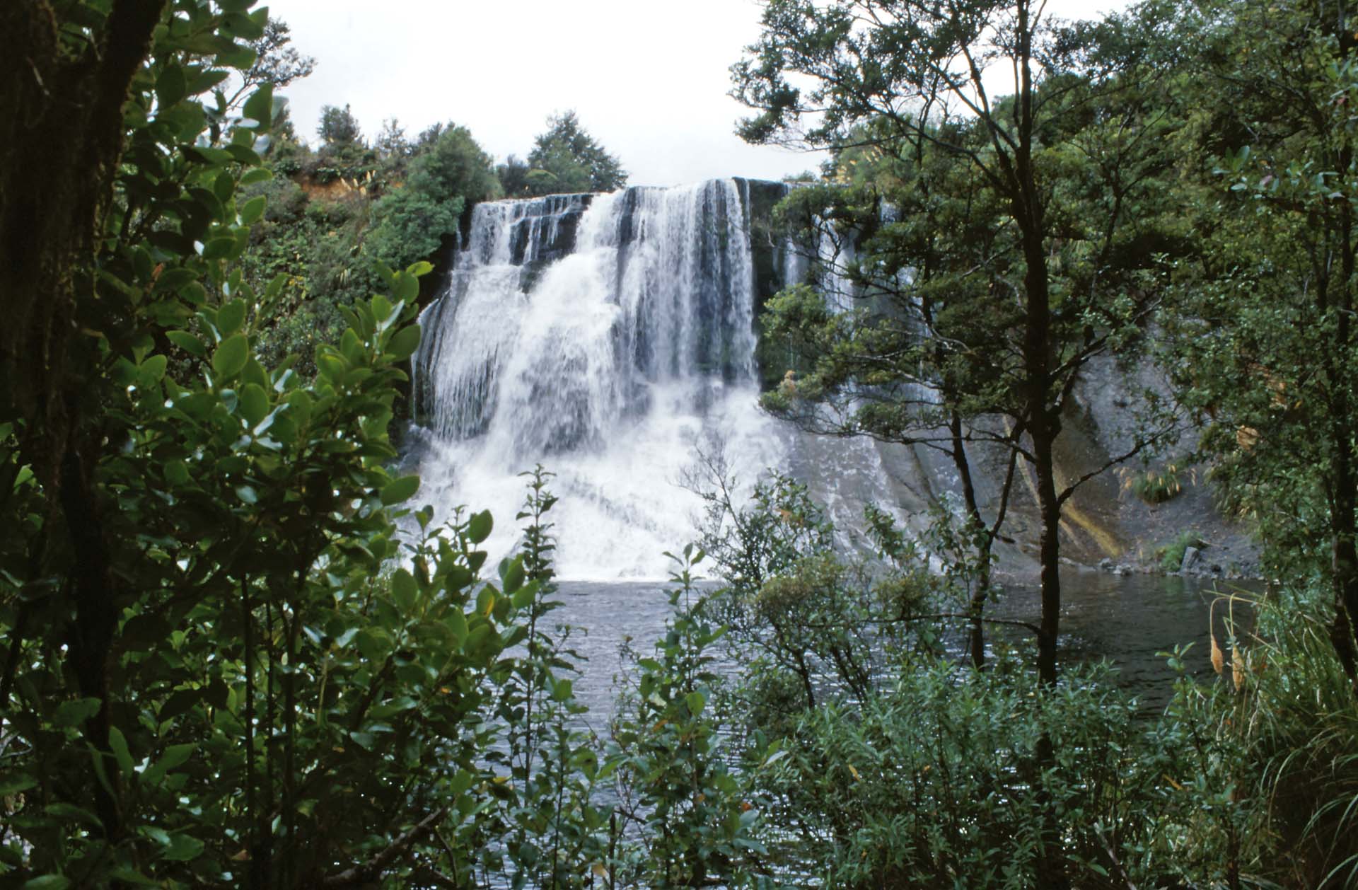 Einer der vielen Wasserfälle im Urewera NP, Nordinsel NZ