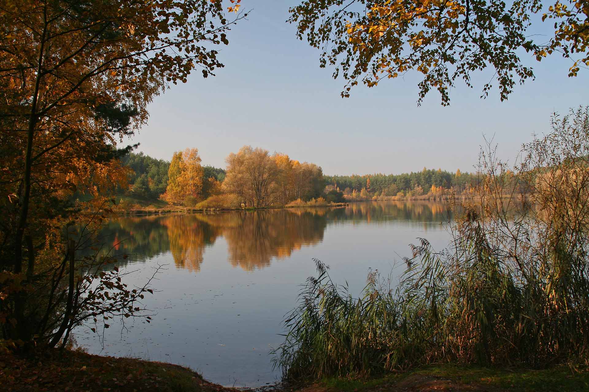 Herbst am Birkensee, Diepersdorf im Nürnberger Land