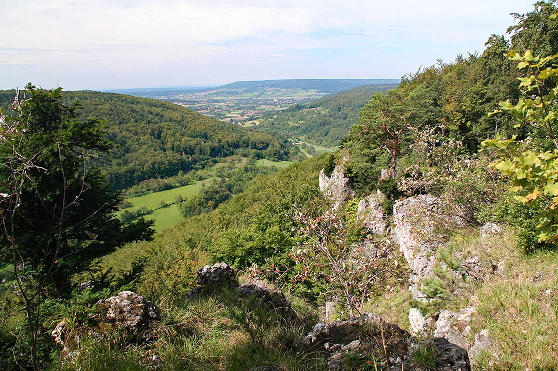 Blick vom Rödelfels über das Trubachtal