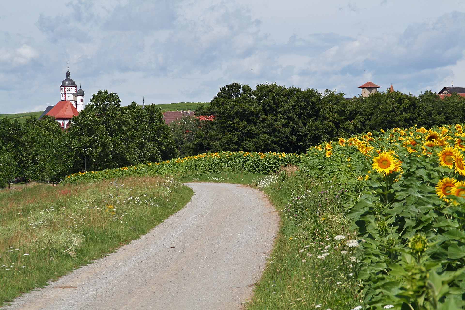 Blick auf Dettelbach am Main