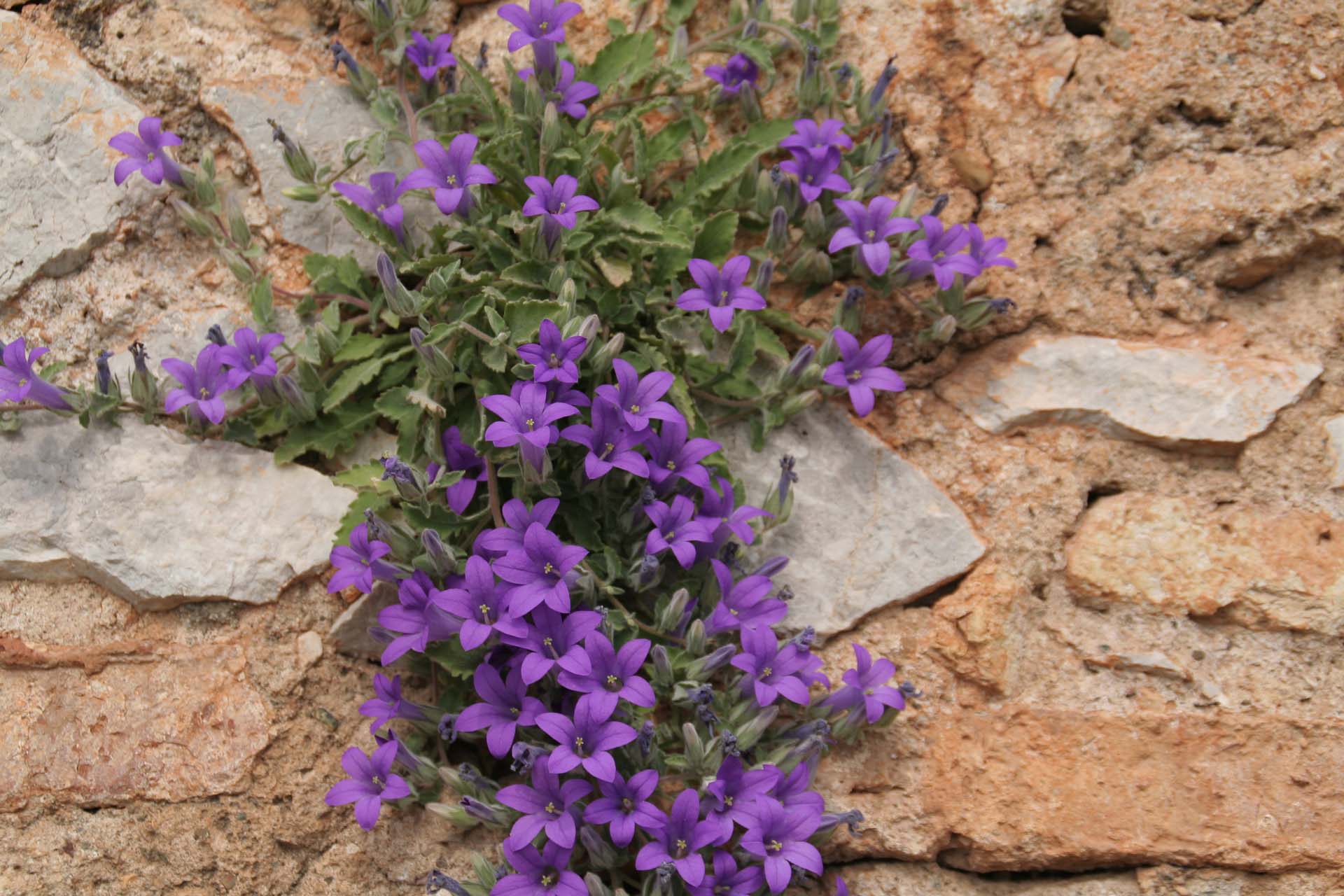 Nafplio, Festung Palamidi