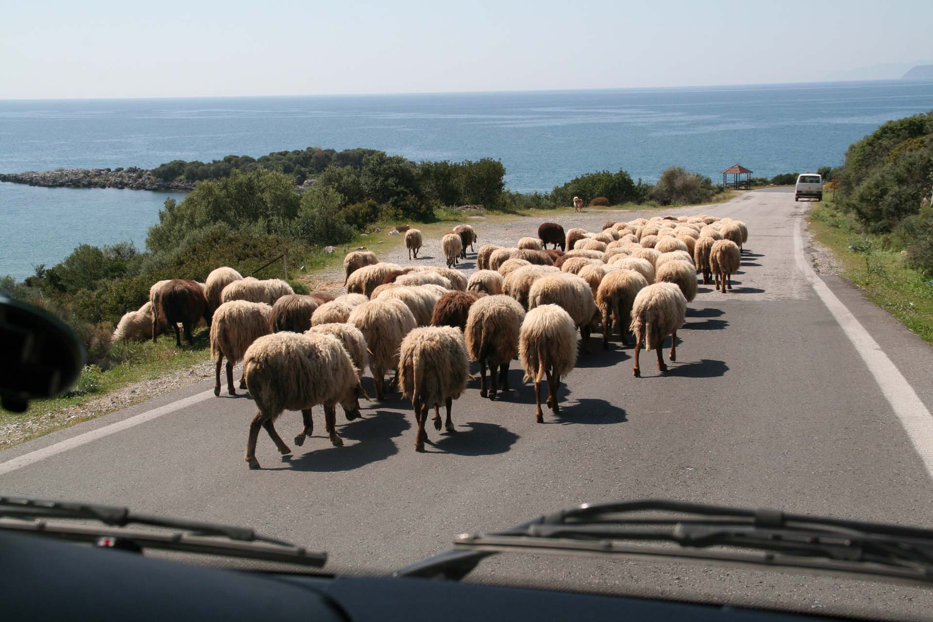 Griechischer Verkehrsstau