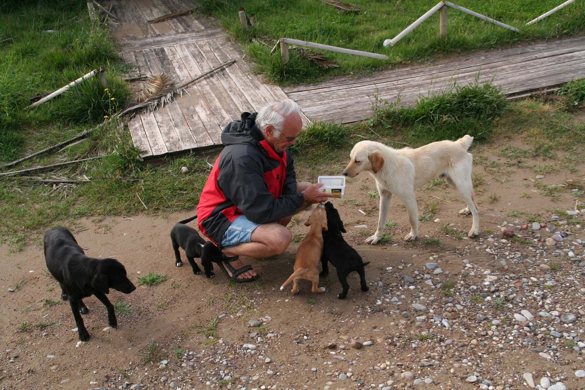 Kato Samiko - Als Hundefreunde hätten wir am liebsten alle mitgenommen