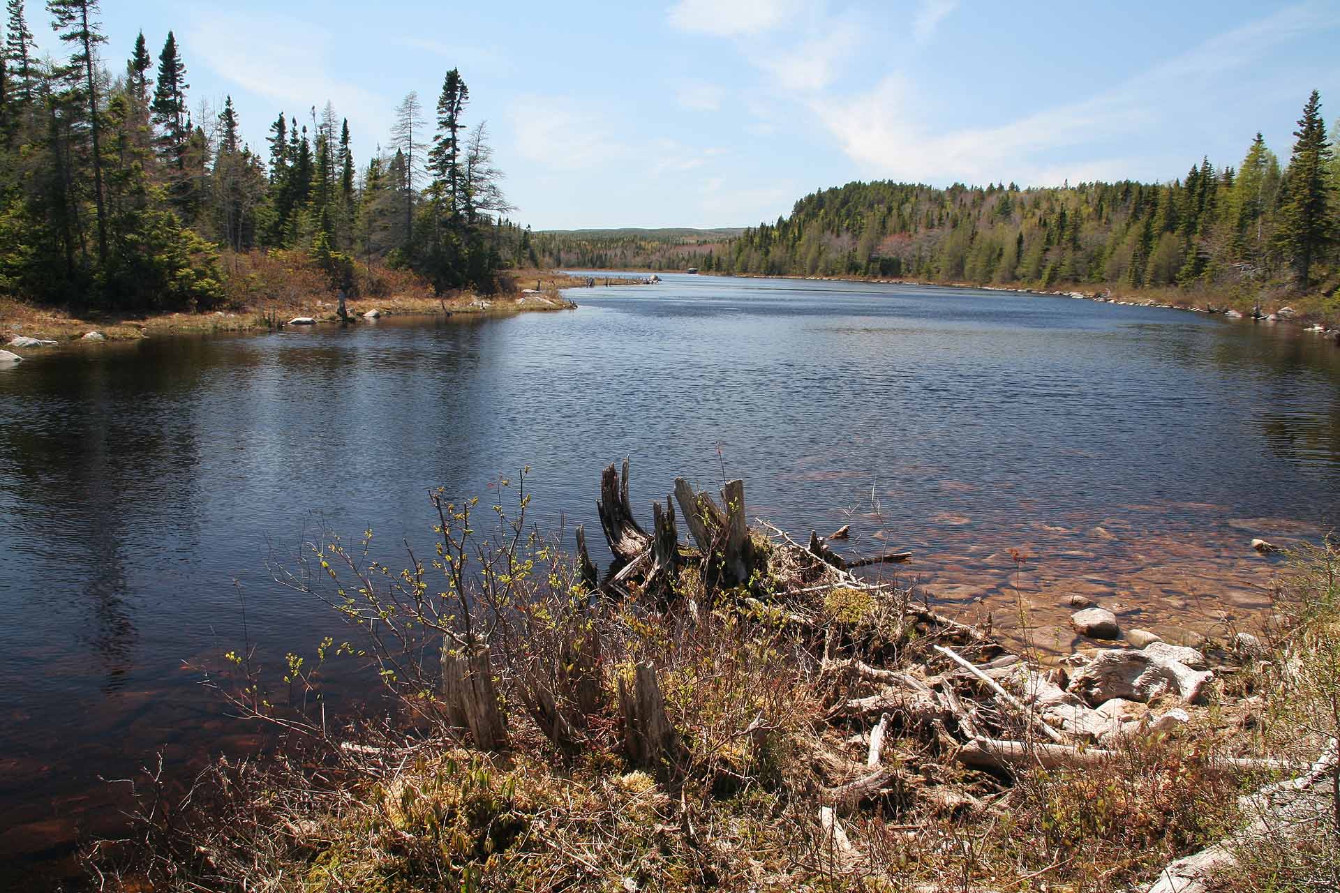 Nova Scotia, Cape Breton Nationalpark, Jigging Cove Lake