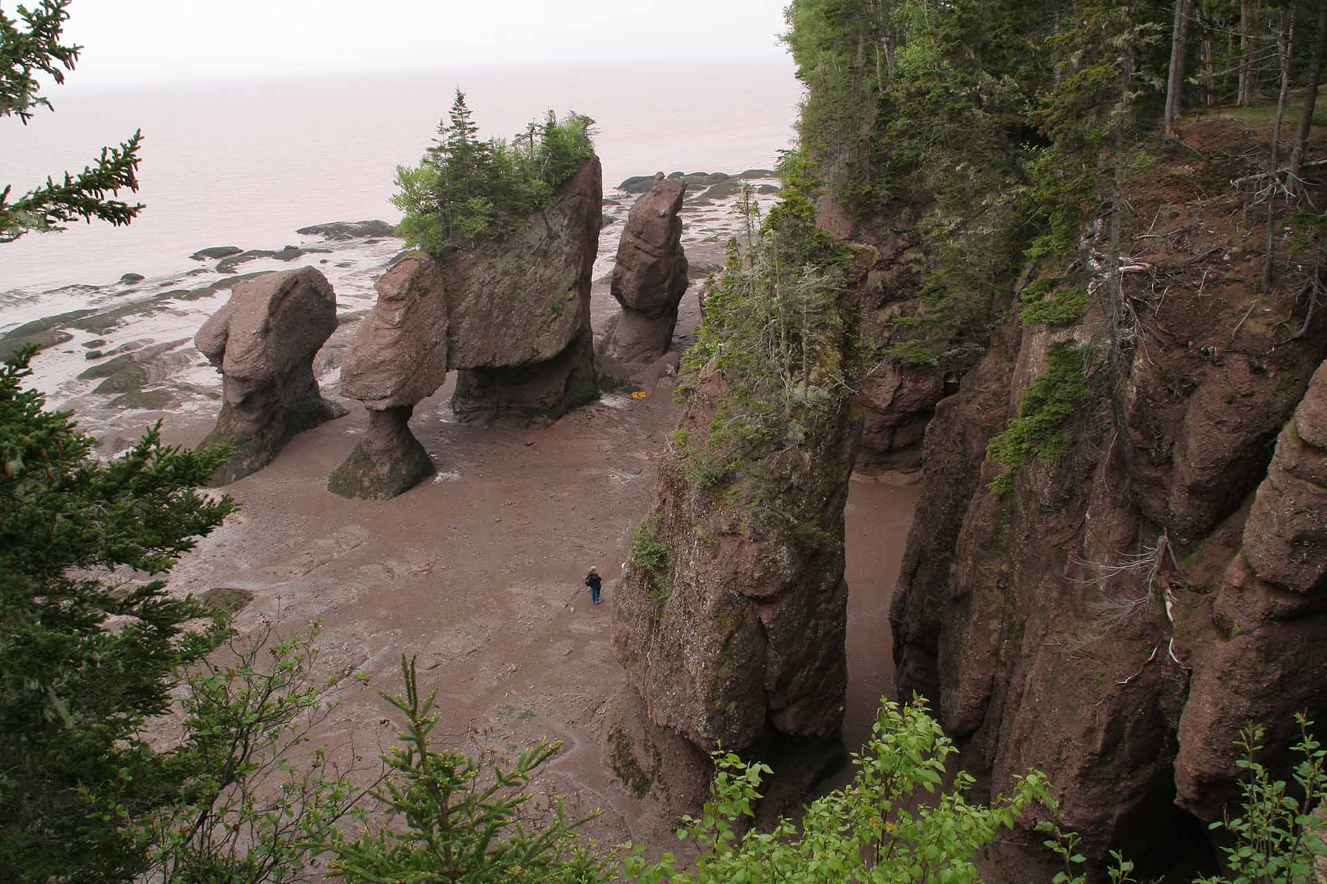 New Brunswick, Hopewell Rocks Provincial Park - Die Flowerpot Rocks bei Ebbe
