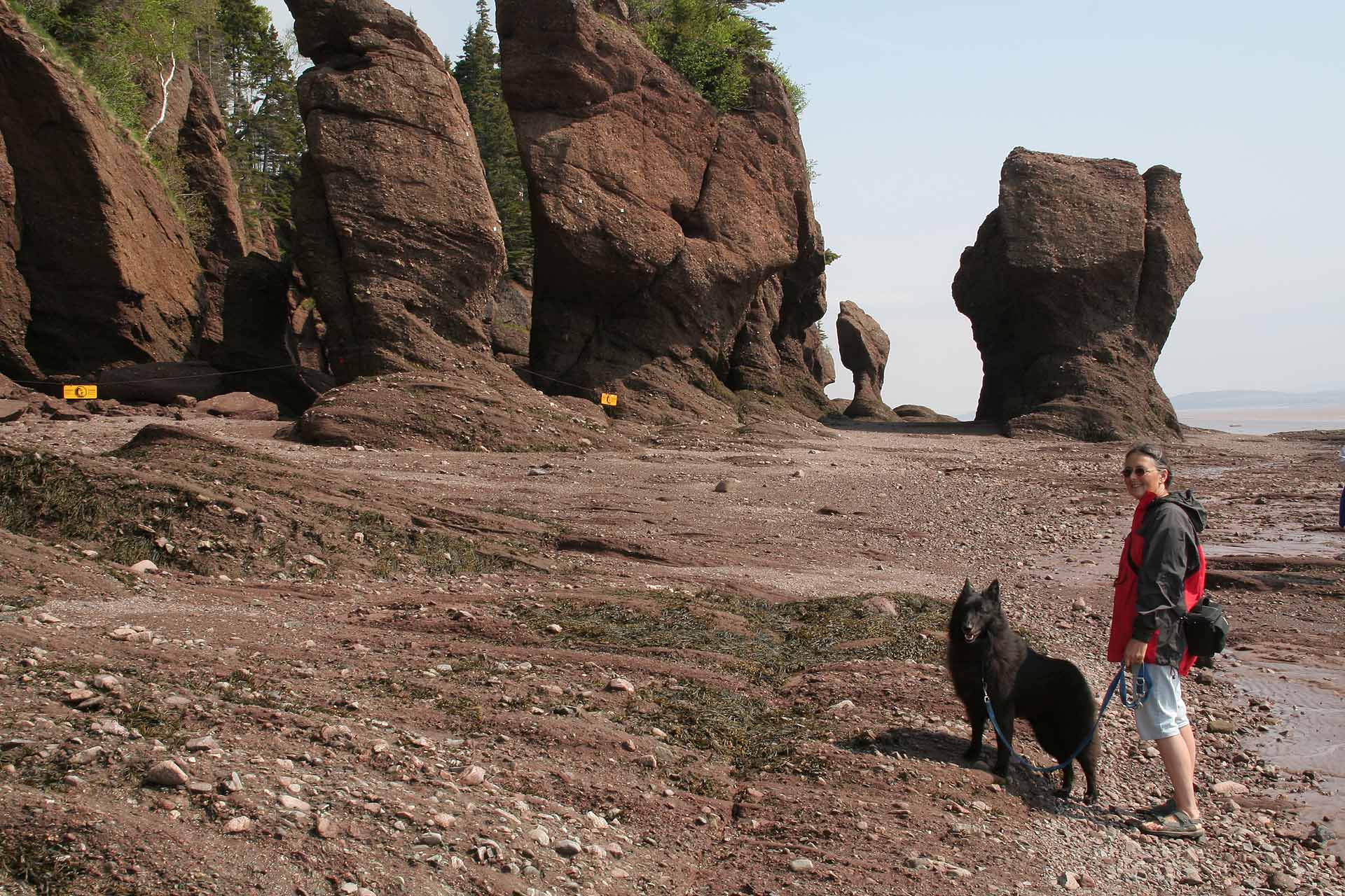 New Brunswick, Hopewell Rocks Provincial Park - Die Flowerpot Rocks bei Ebbe