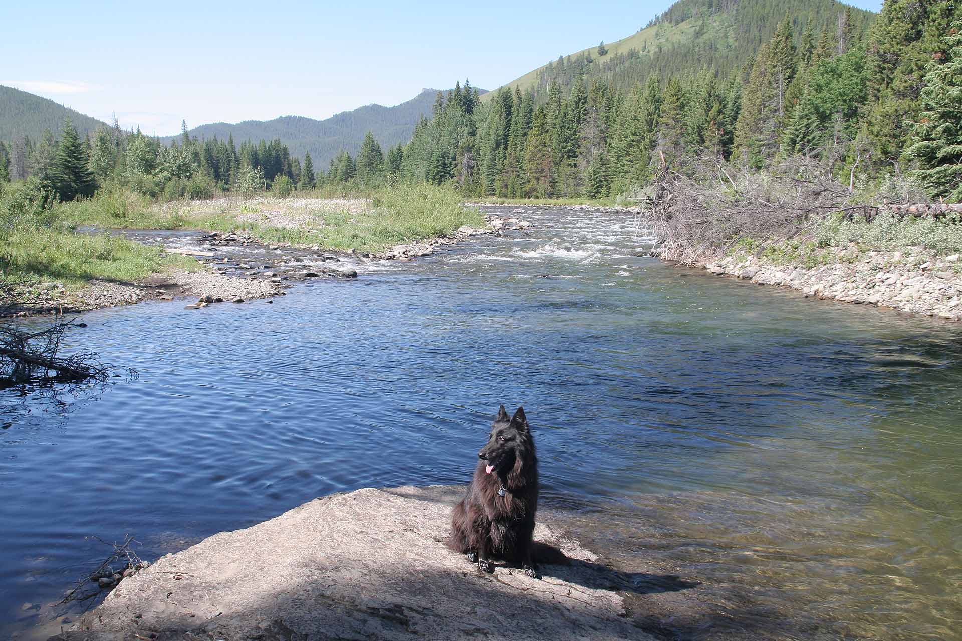 Alberta, an der Forestry Trunk Road