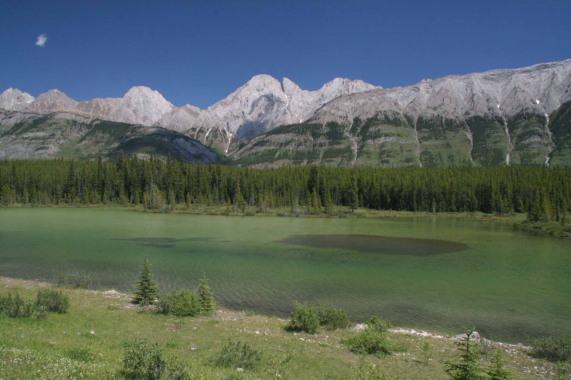 Alberta am Kananaskis Lakes Trail