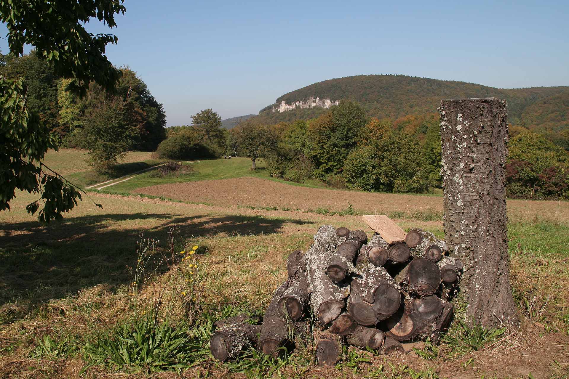 Blick auf den Rödelfels