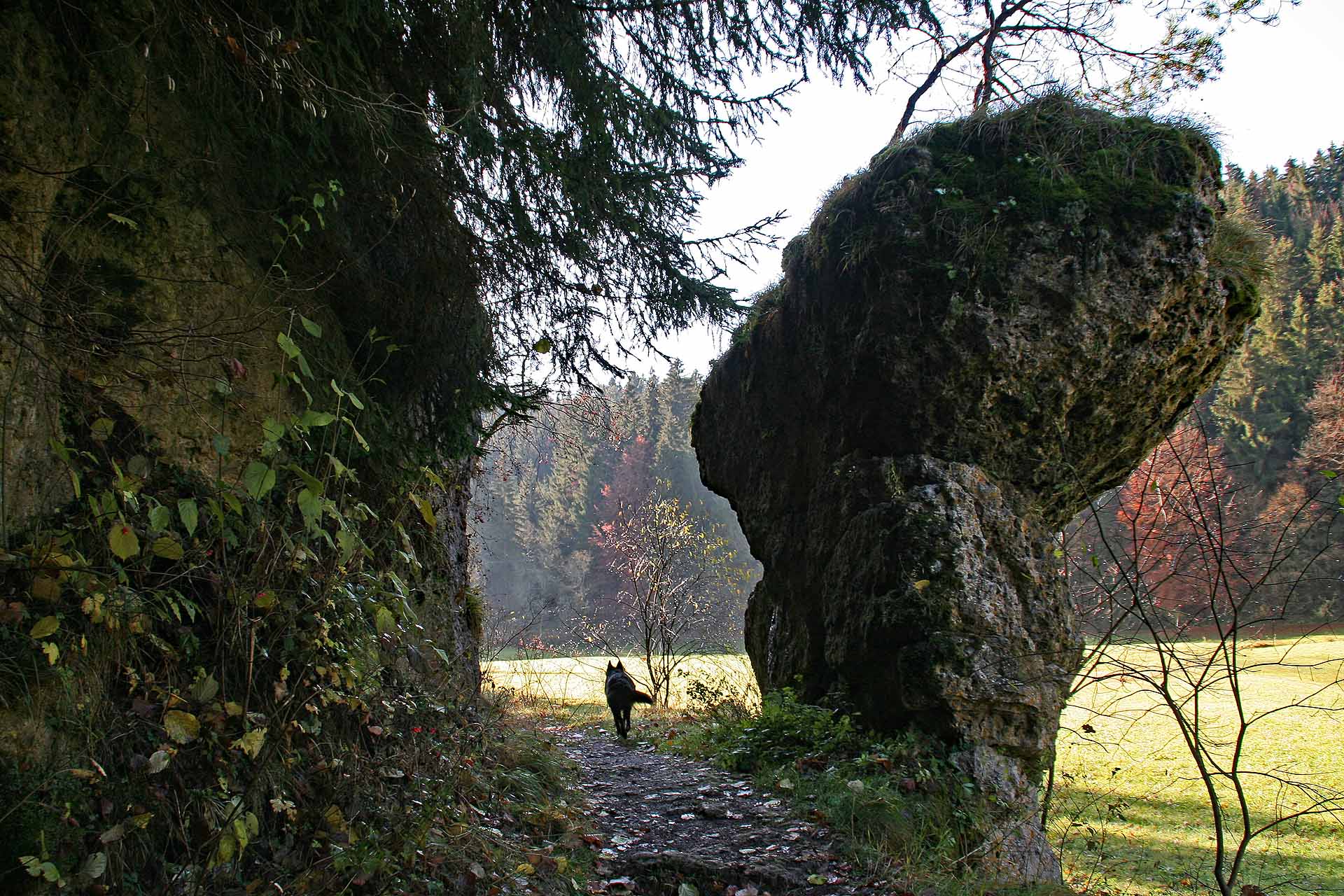 Wanderweg durchs Aufseßtal