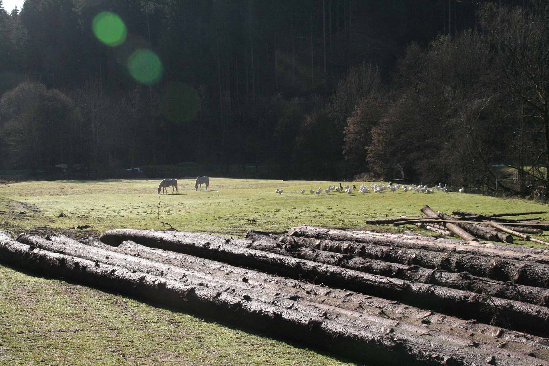 Im Aufseßtal